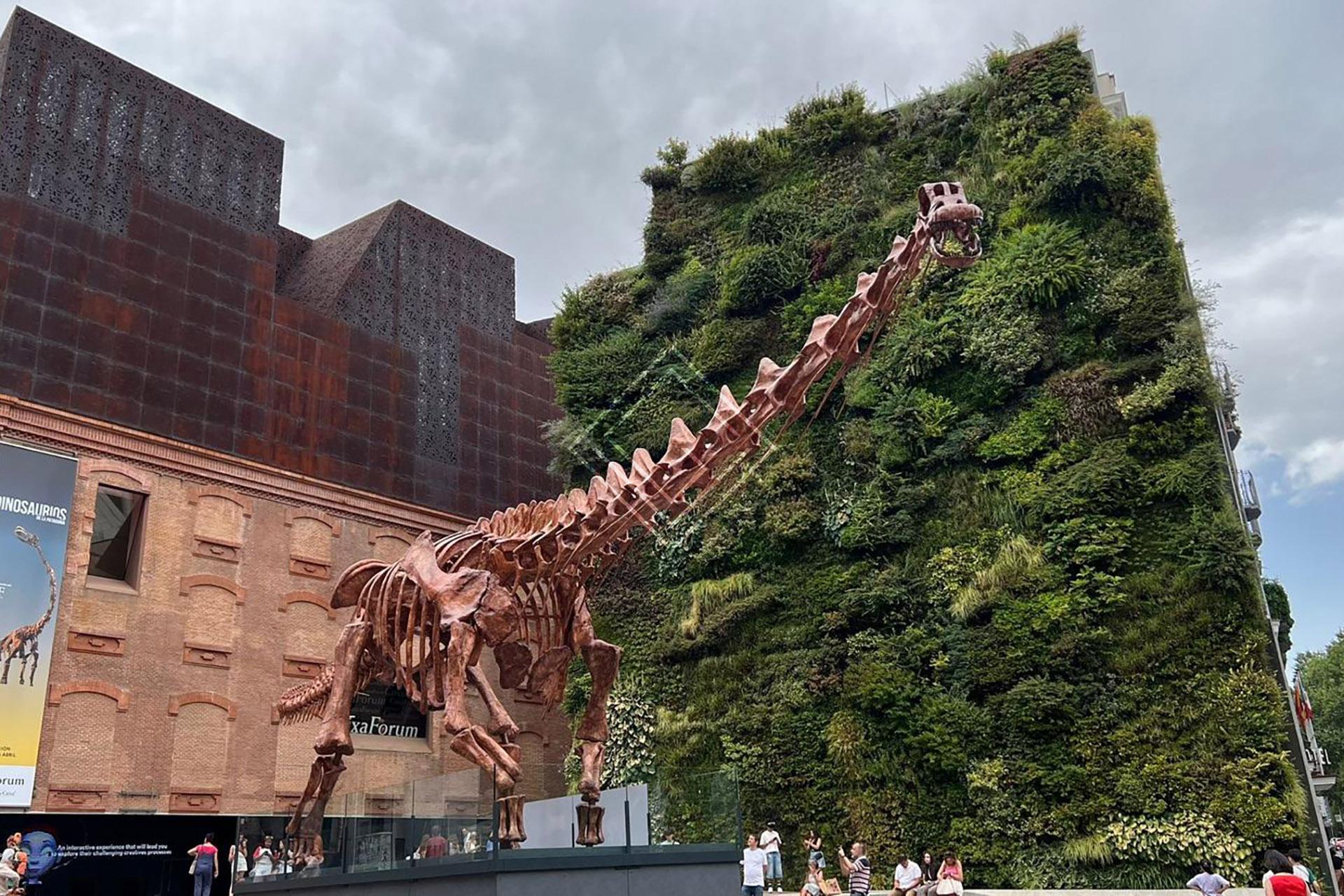 Imagen 26 de la propiedad