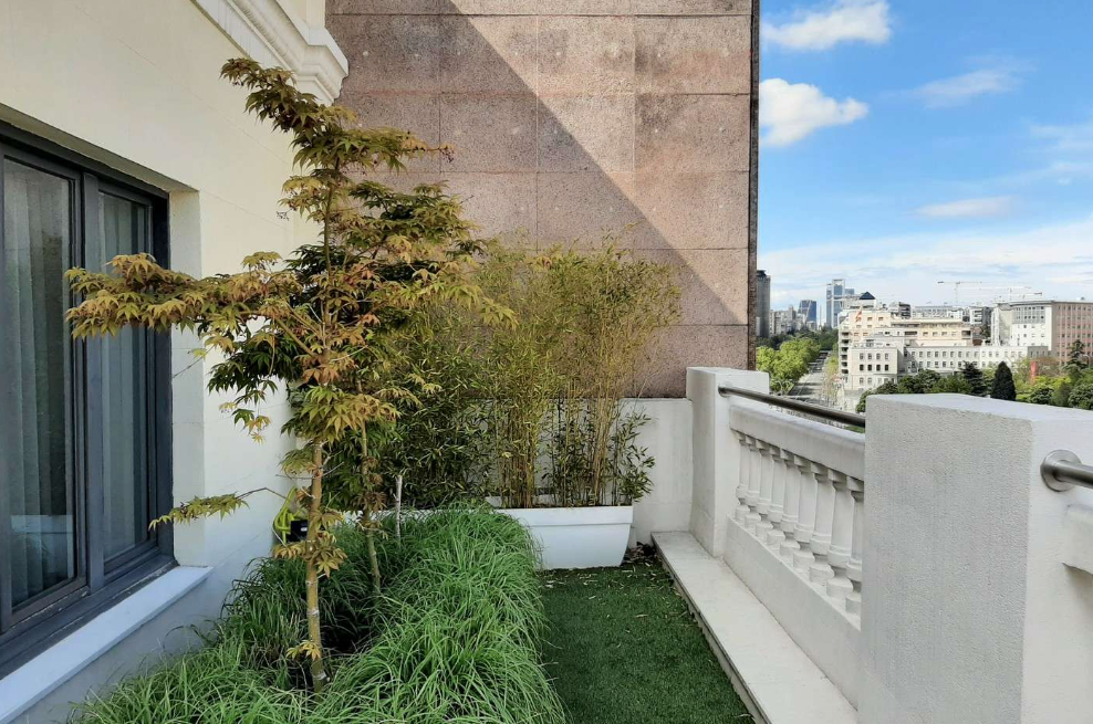 Imagen 8 de la propiedad