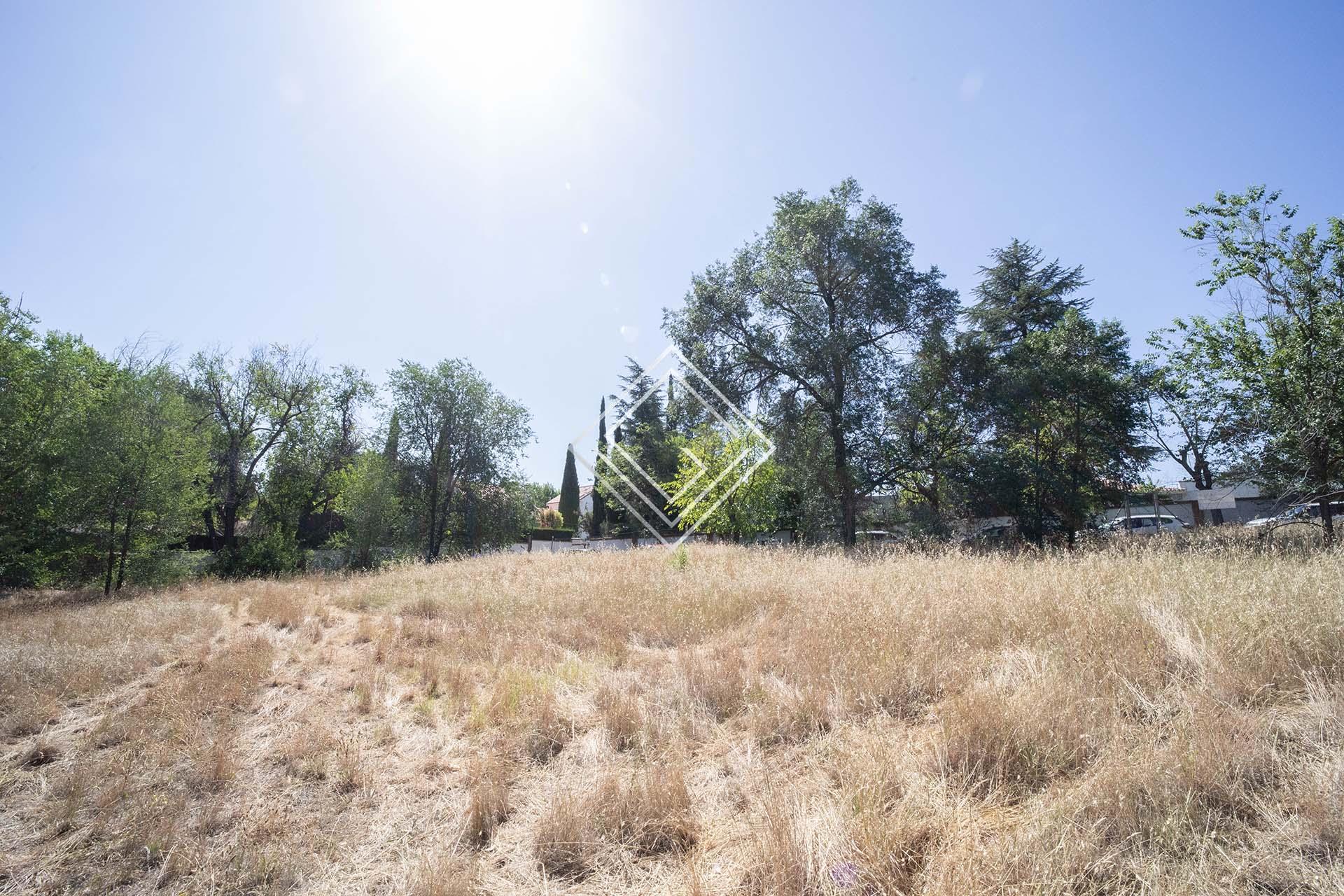 Imagen 5 de la propiedad