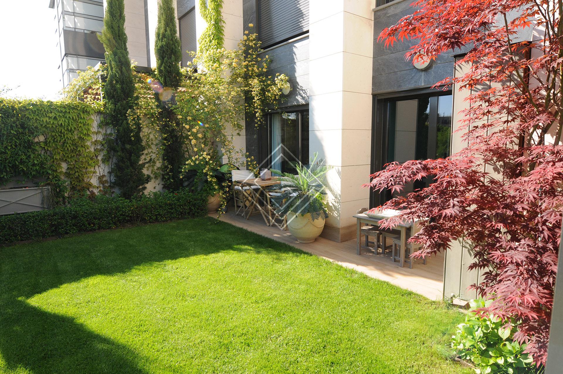 Imagen 18 de la propiedad