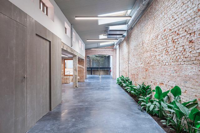 Imagen 11 de la propiedad