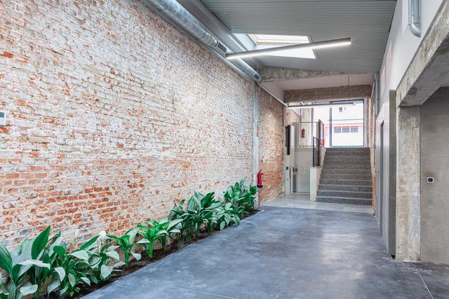 Imagen 12 de la propiedad