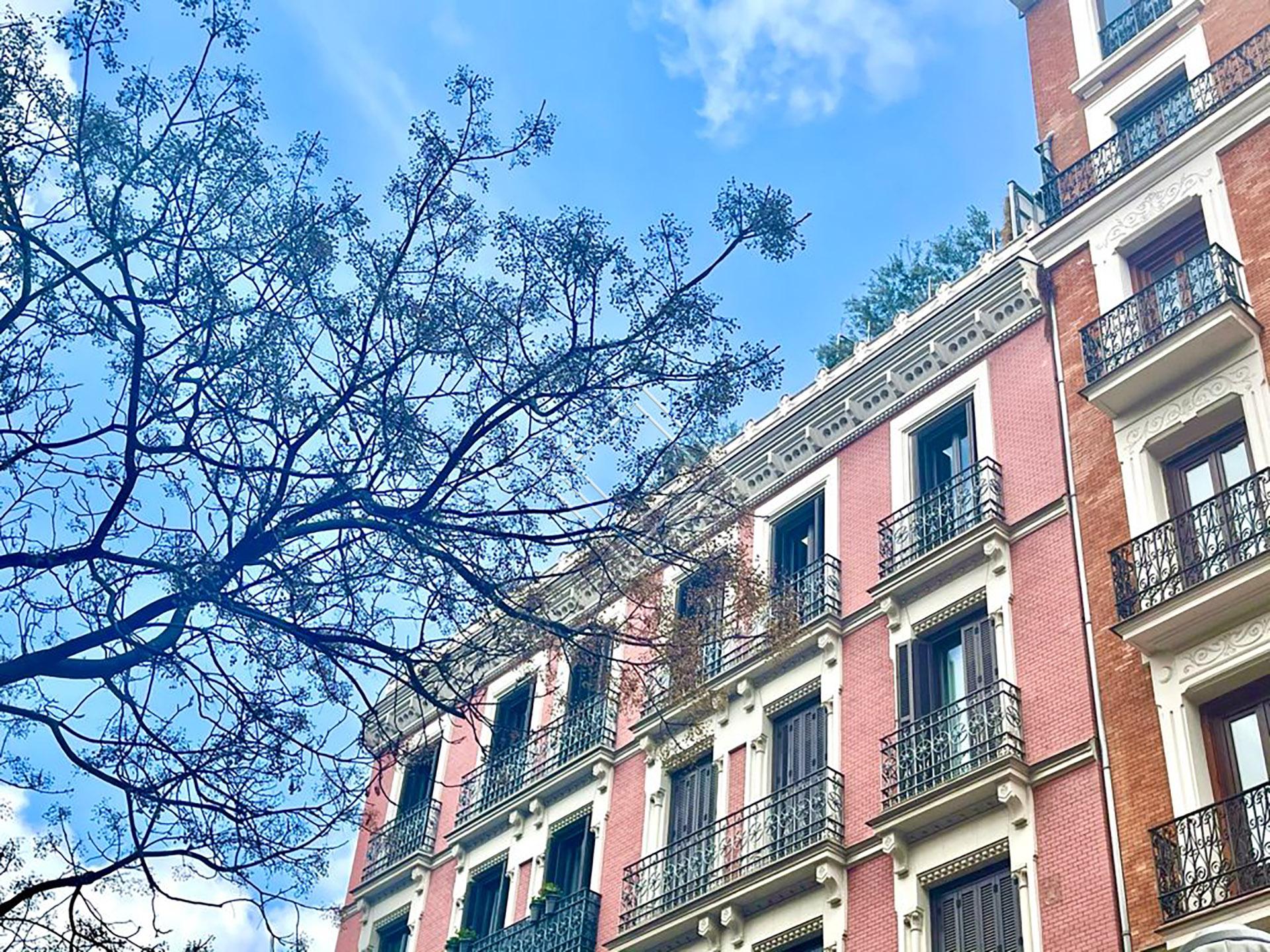 Imagen 55 de la propiedad