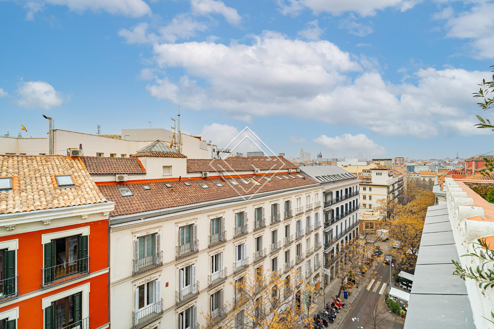 Imagen 54 de la propiedad