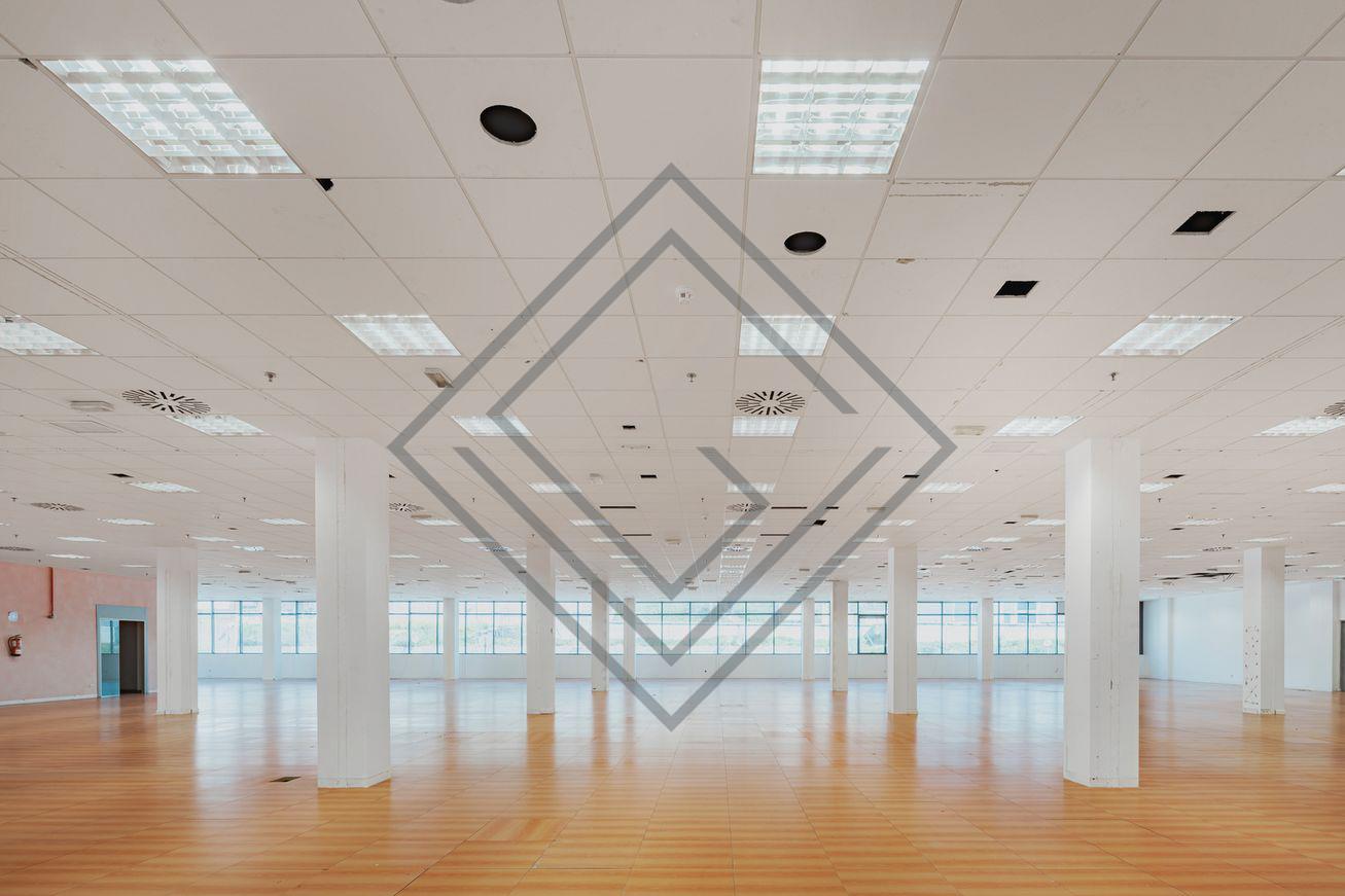 Imagen 14 de la propiedad