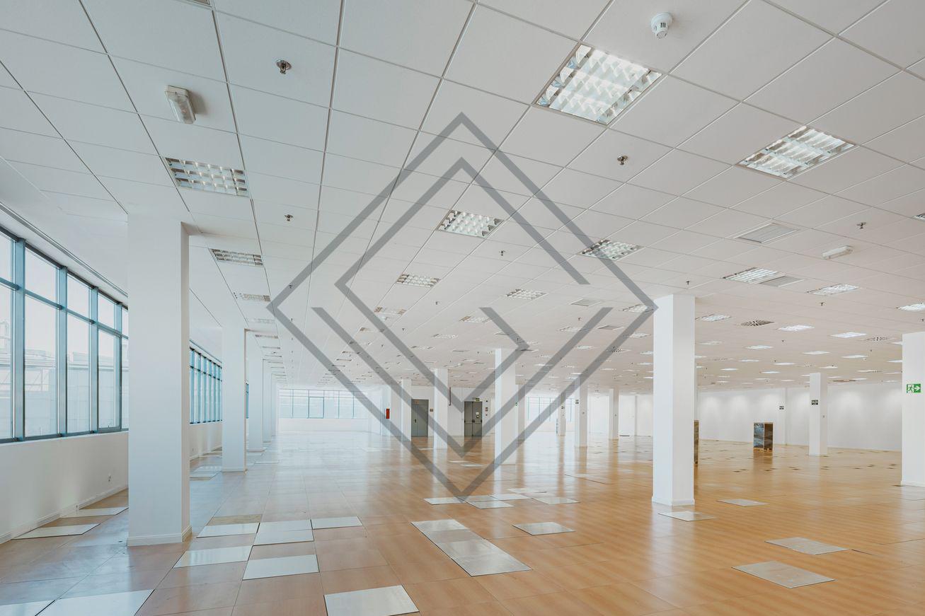 Imagen 15 de la propiedad