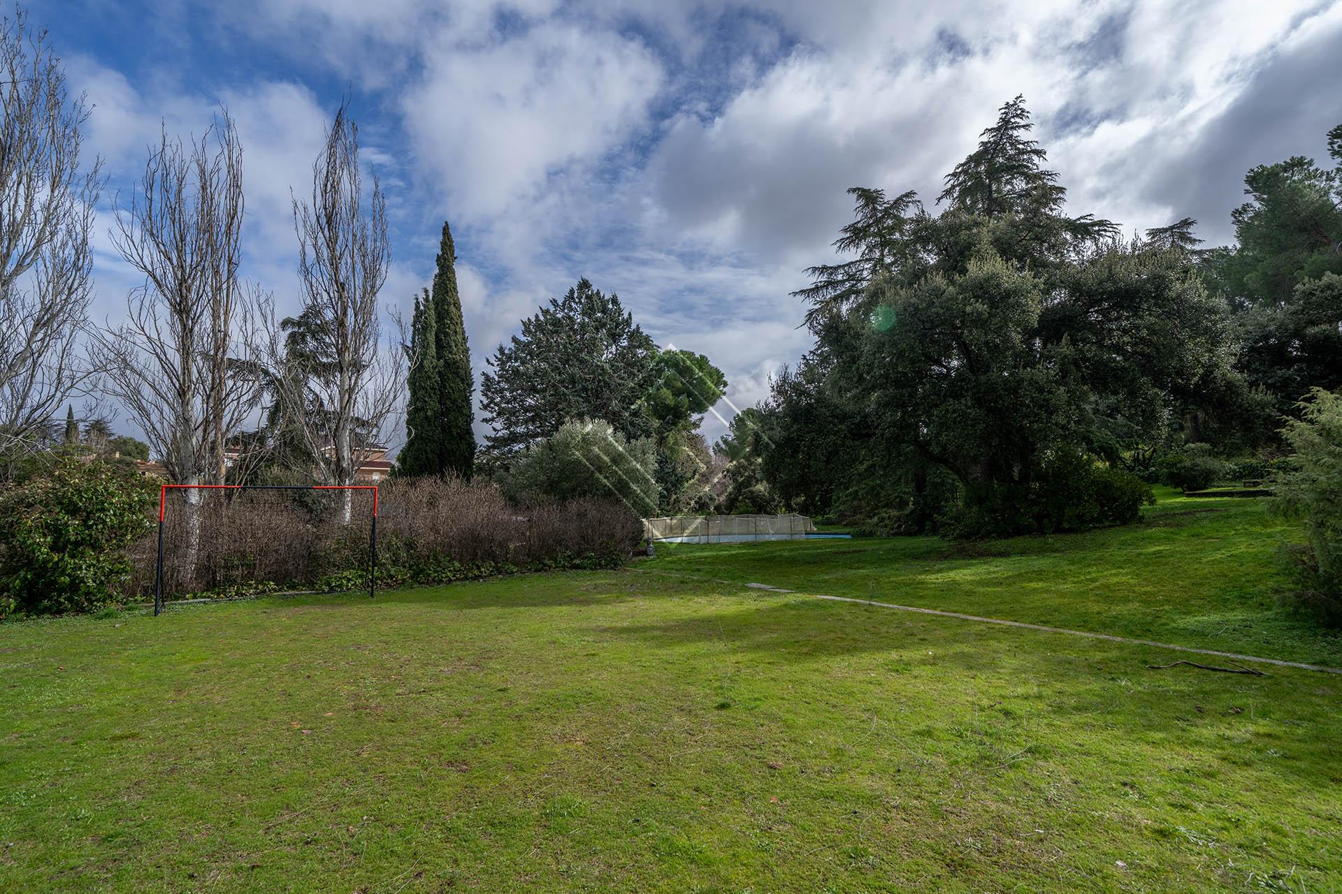 Imagen 7 de la propiedad