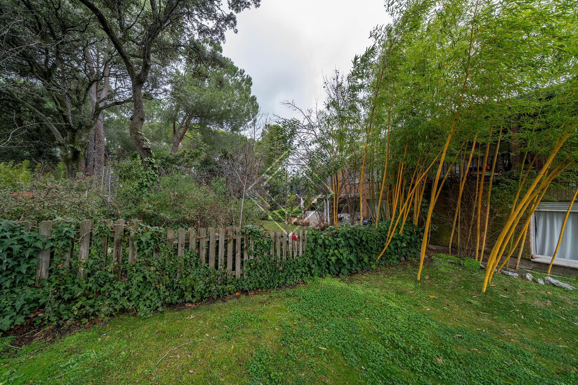 Imagen 12 de la propiedad