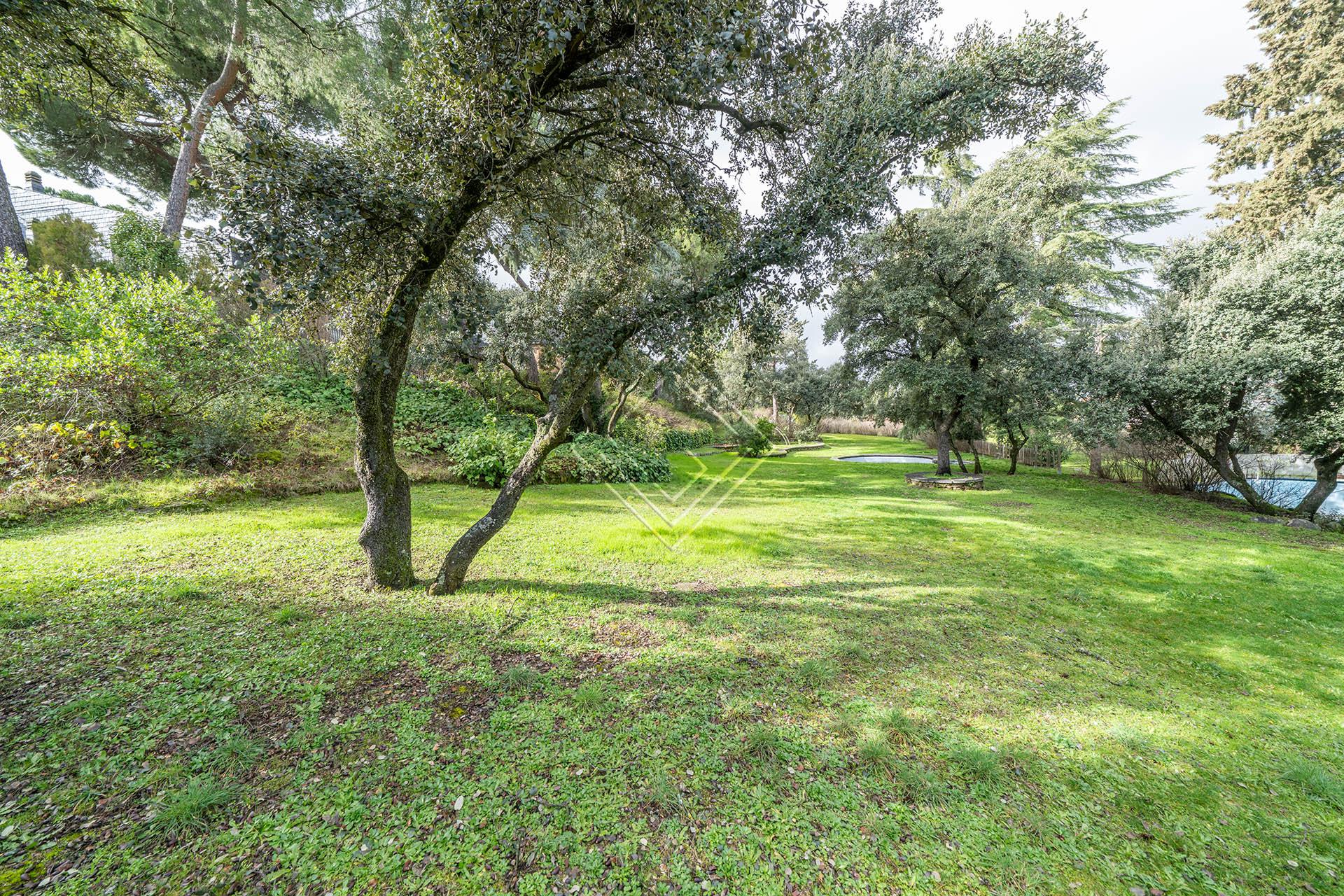 Imagen 3 de la propiedad