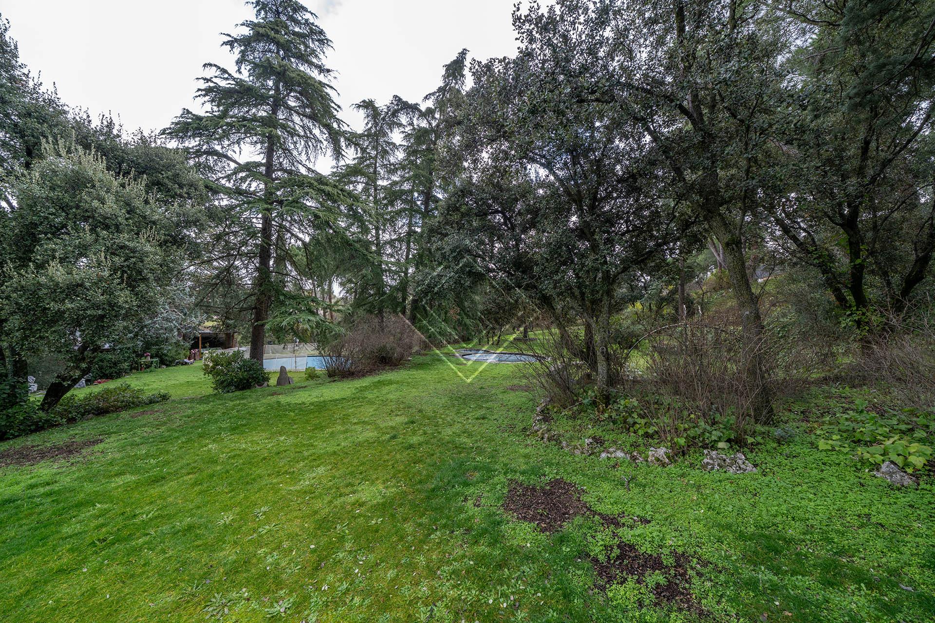 Imagen 22 de la propiedad