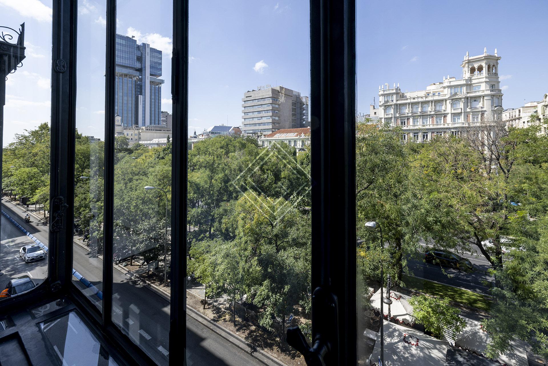 Imagen 10 de la propiedad