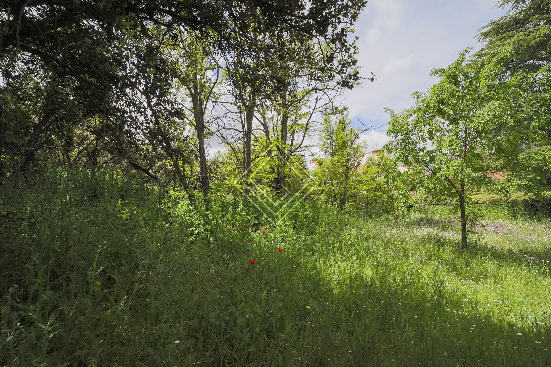 Imagen 7 de la propiedad