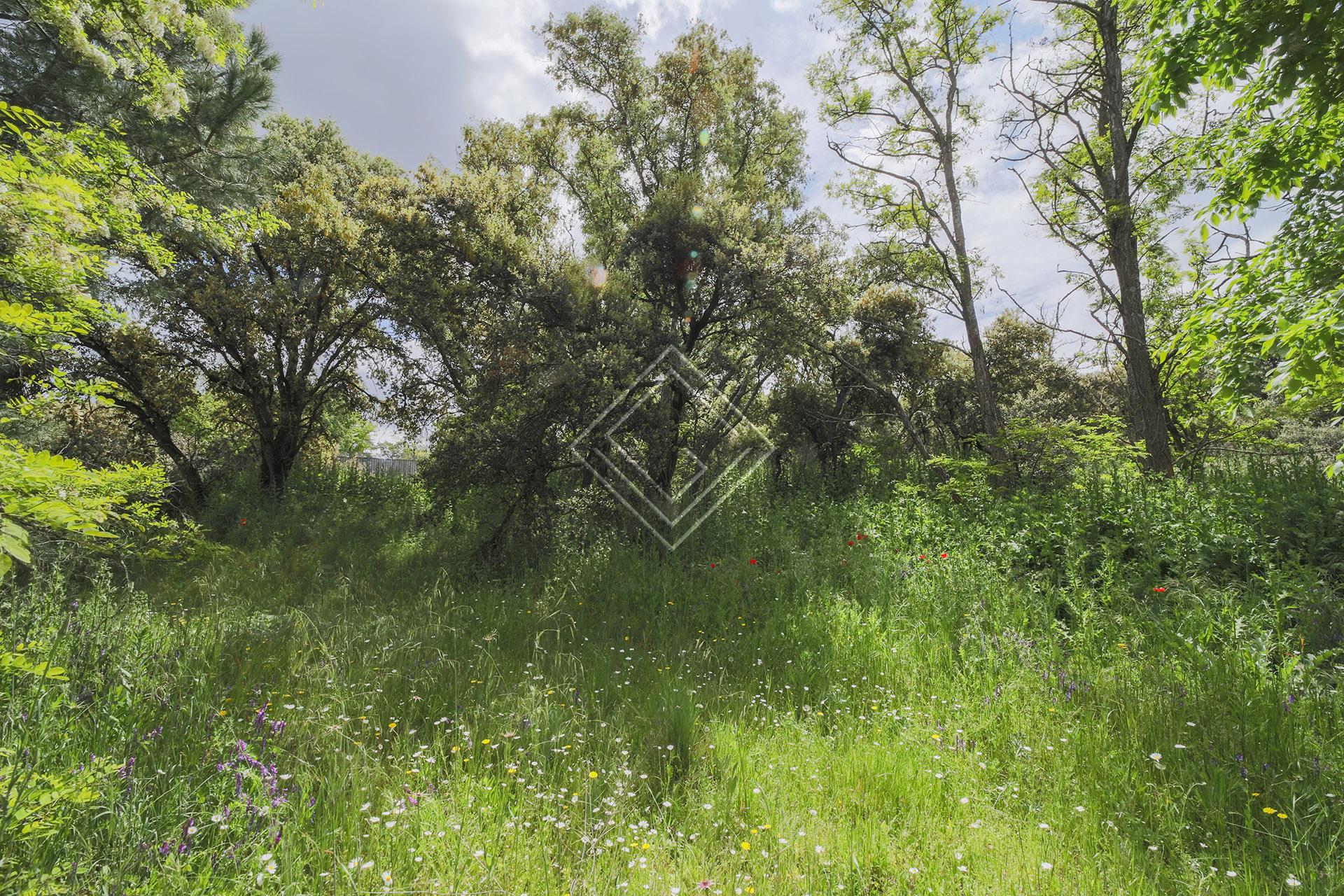 Imagen 6 de la propiedad