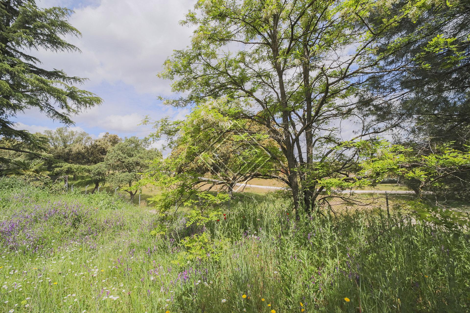 Imagen 8 de la propiedad