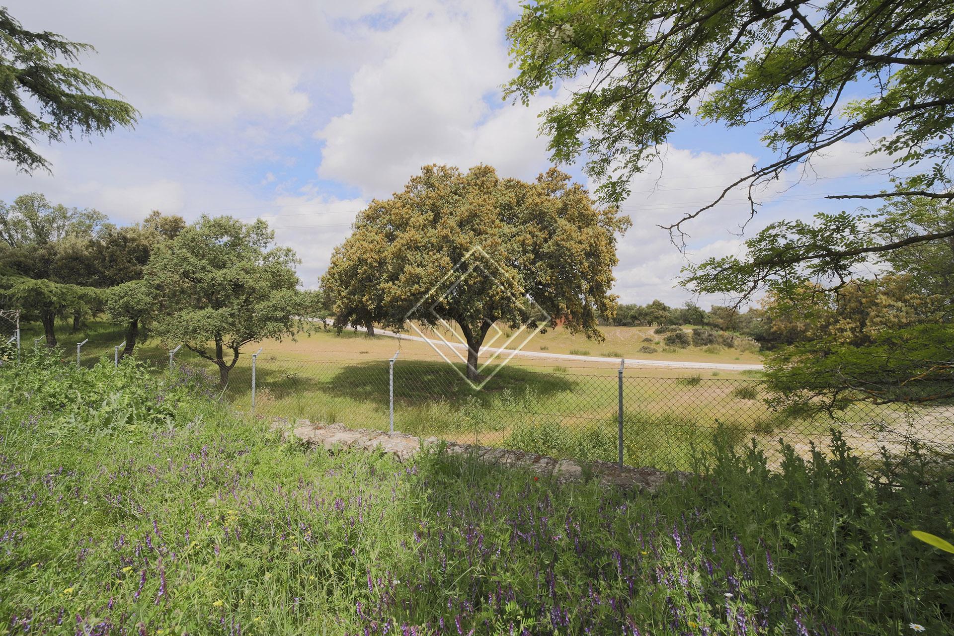 Imagen 2 de la propiedad