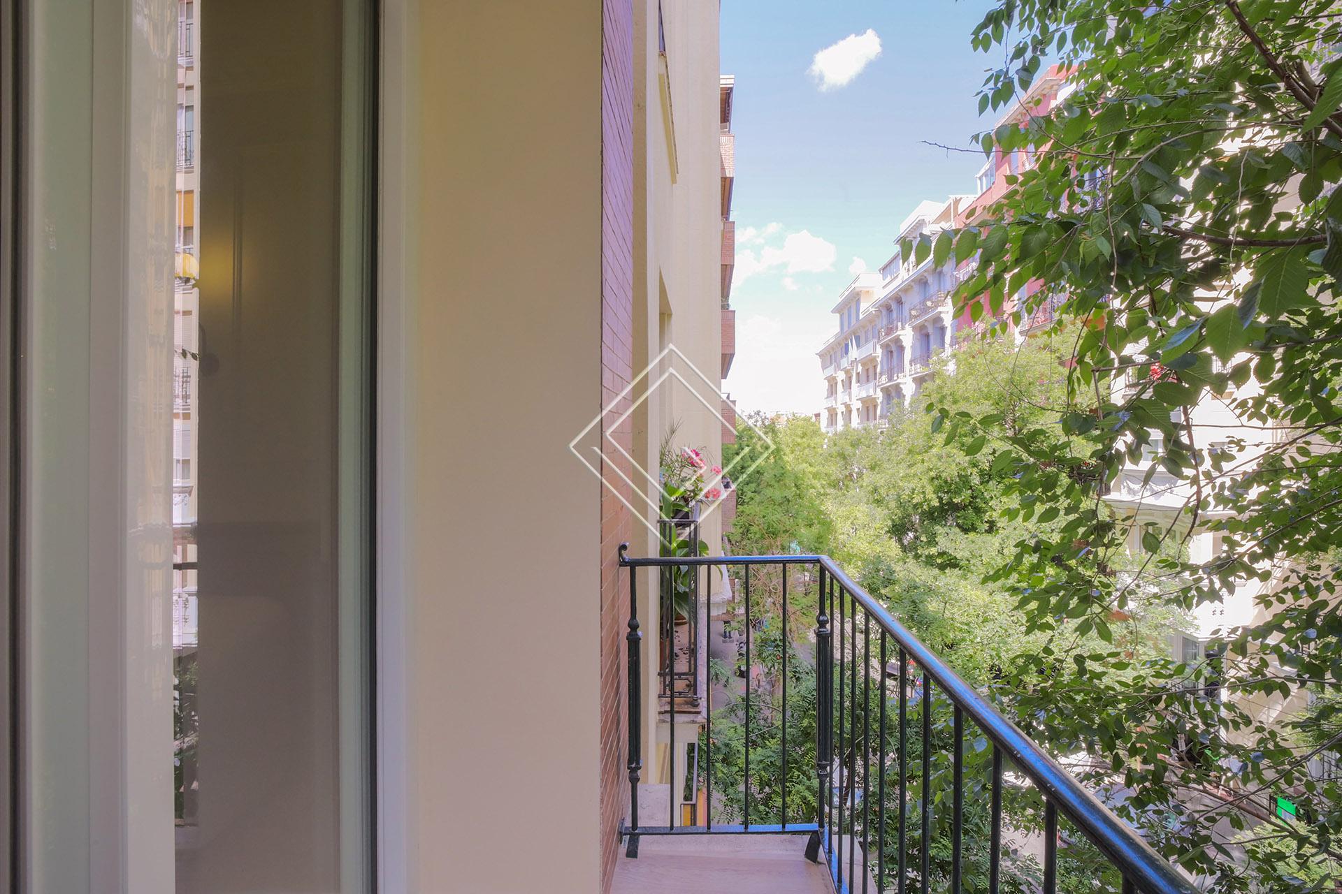 Imagen 13 de la propiedad