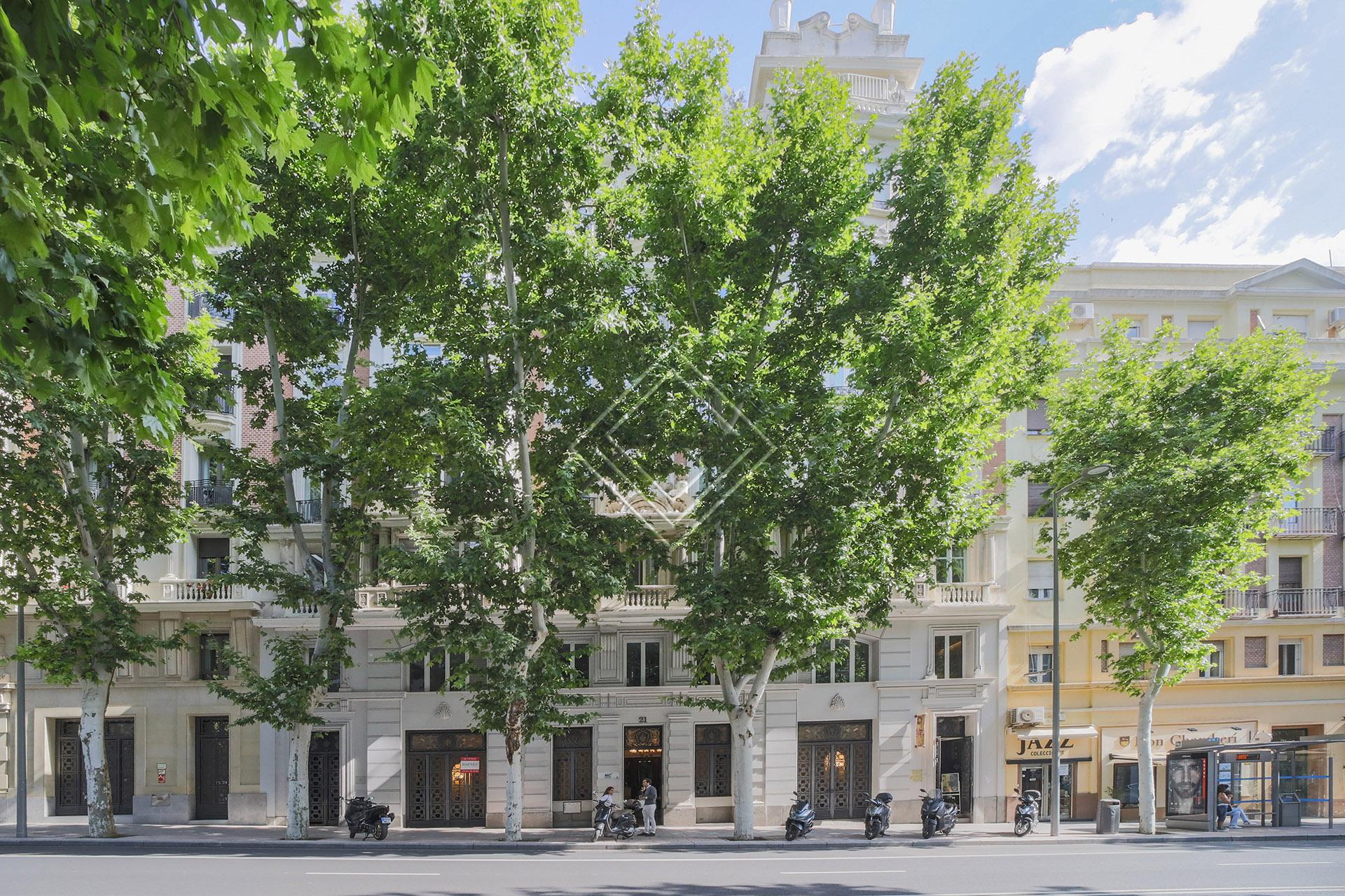 Imagen 19 de la propiedad