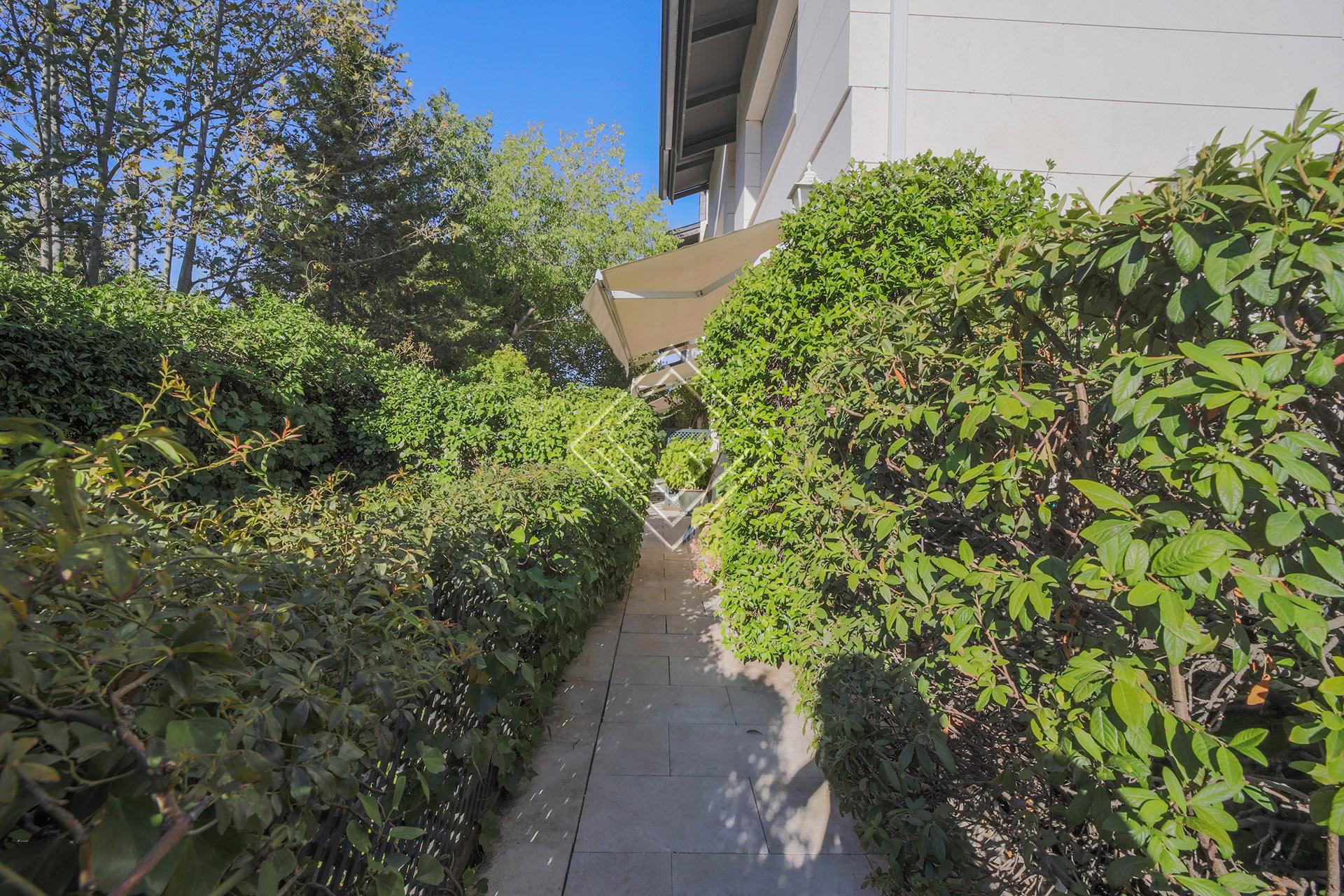 Imagen 36 de la propiedad