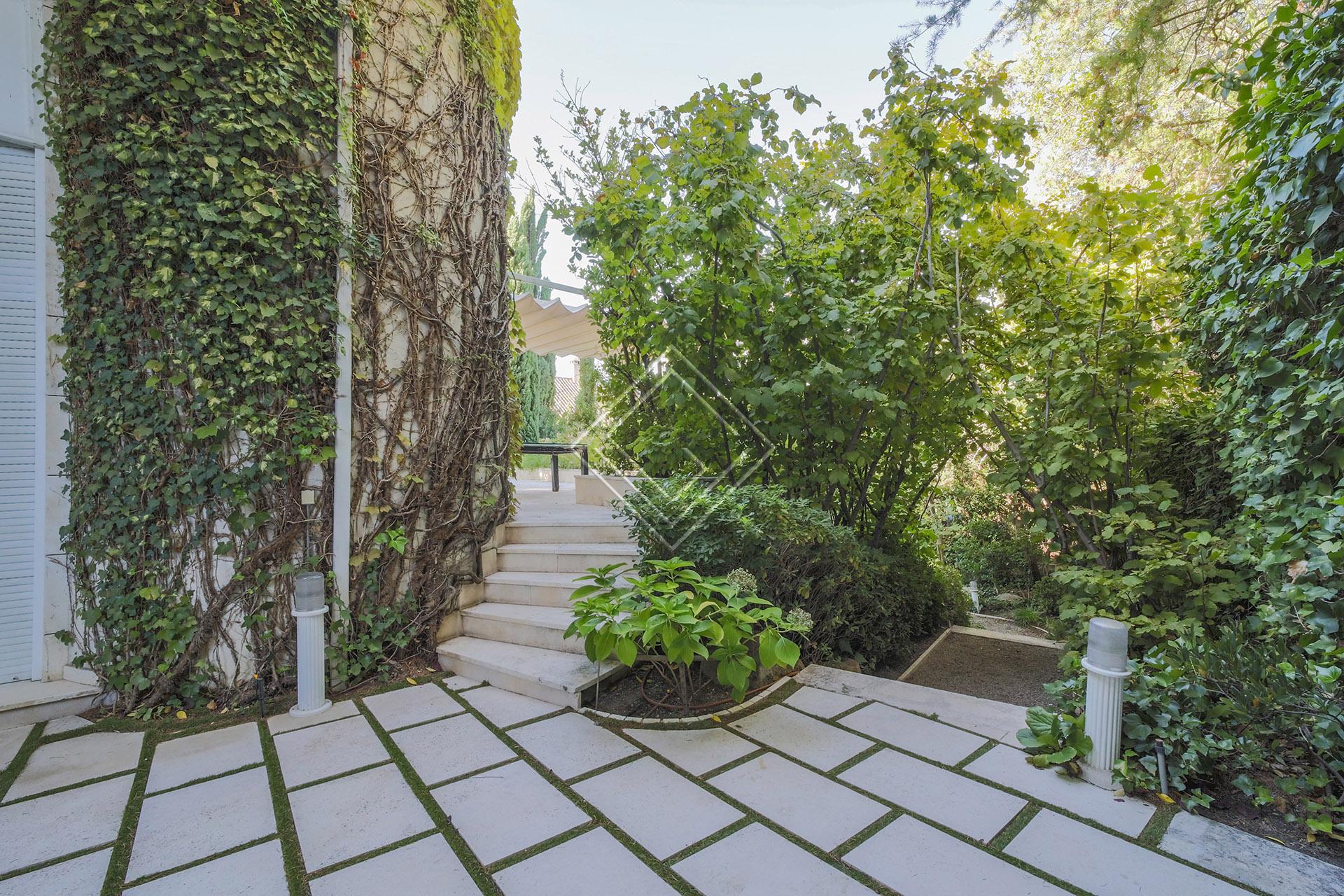 Imagen 44 de la propiedad