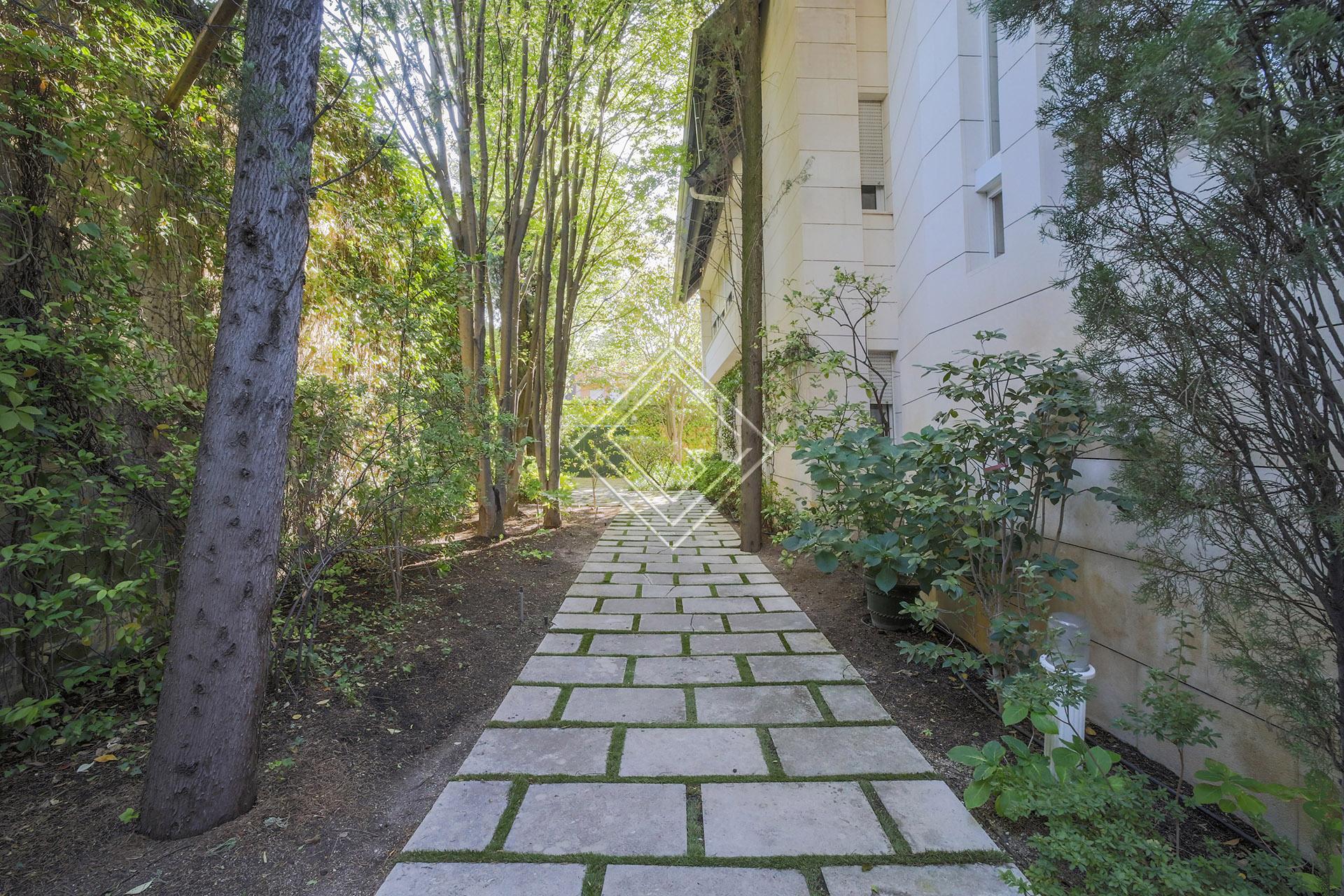 Imagen 48 de la propiedad