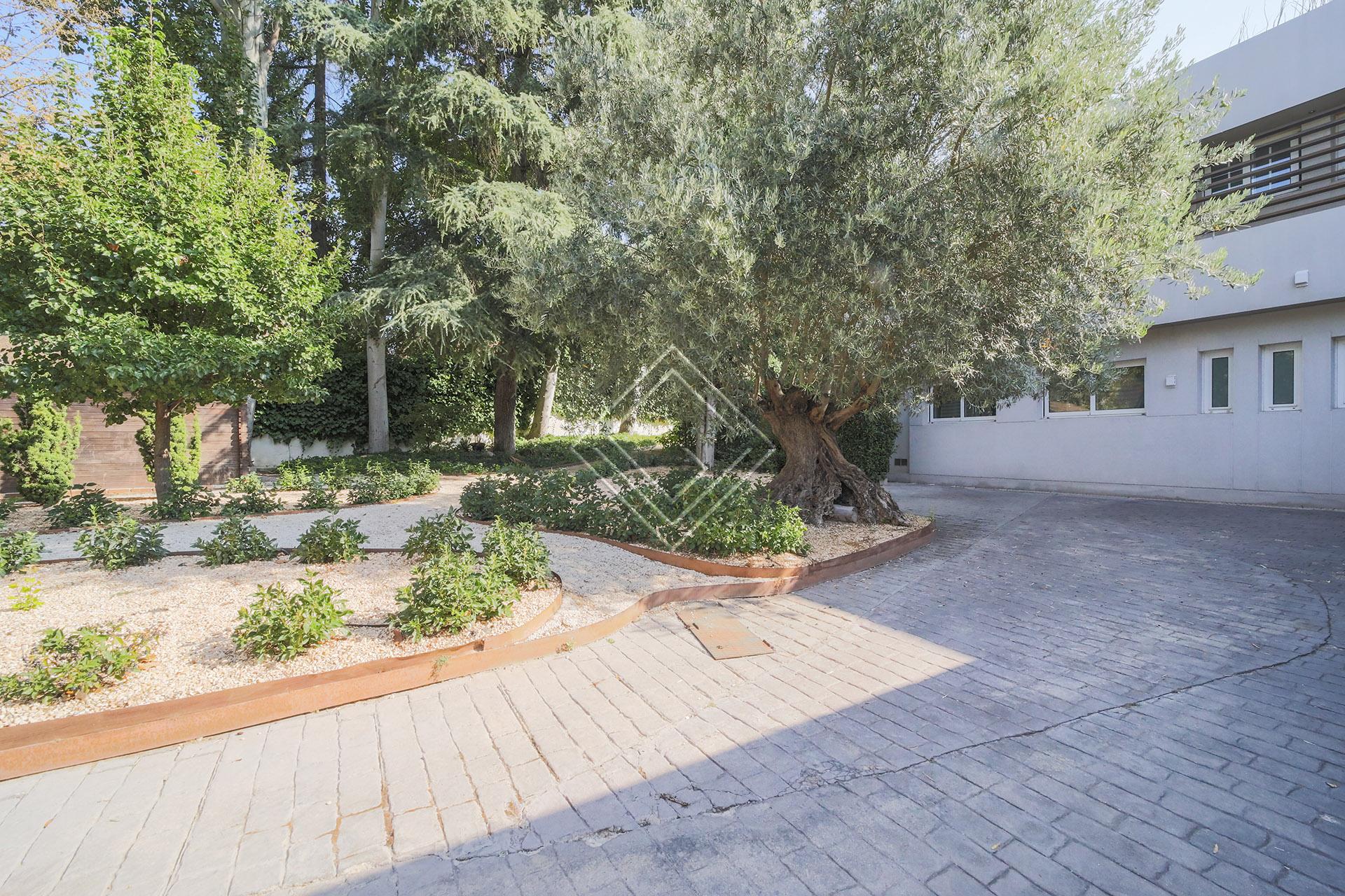 Imagen 39 de la propiedad