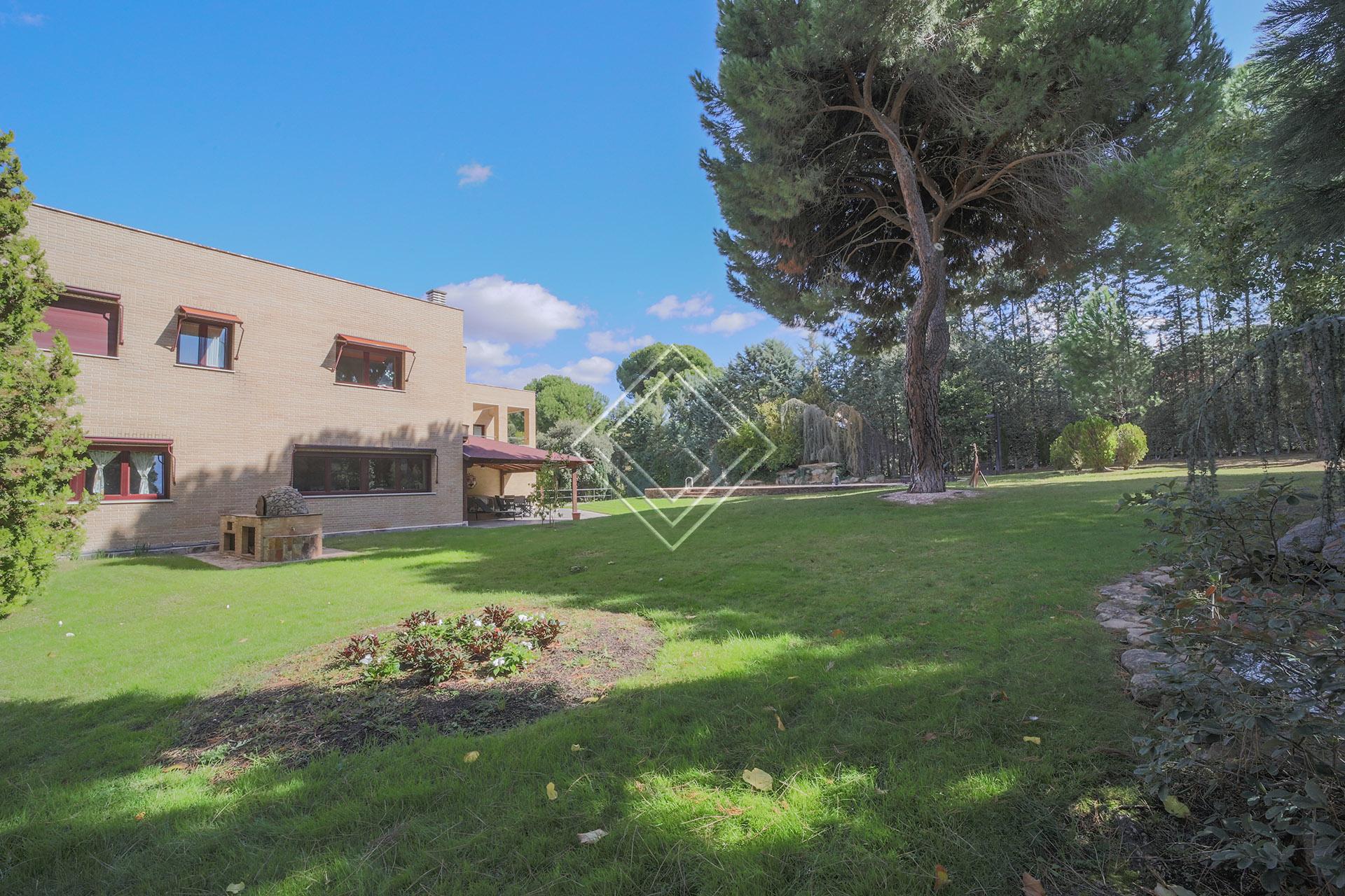 Imagen 38 de la propiedad