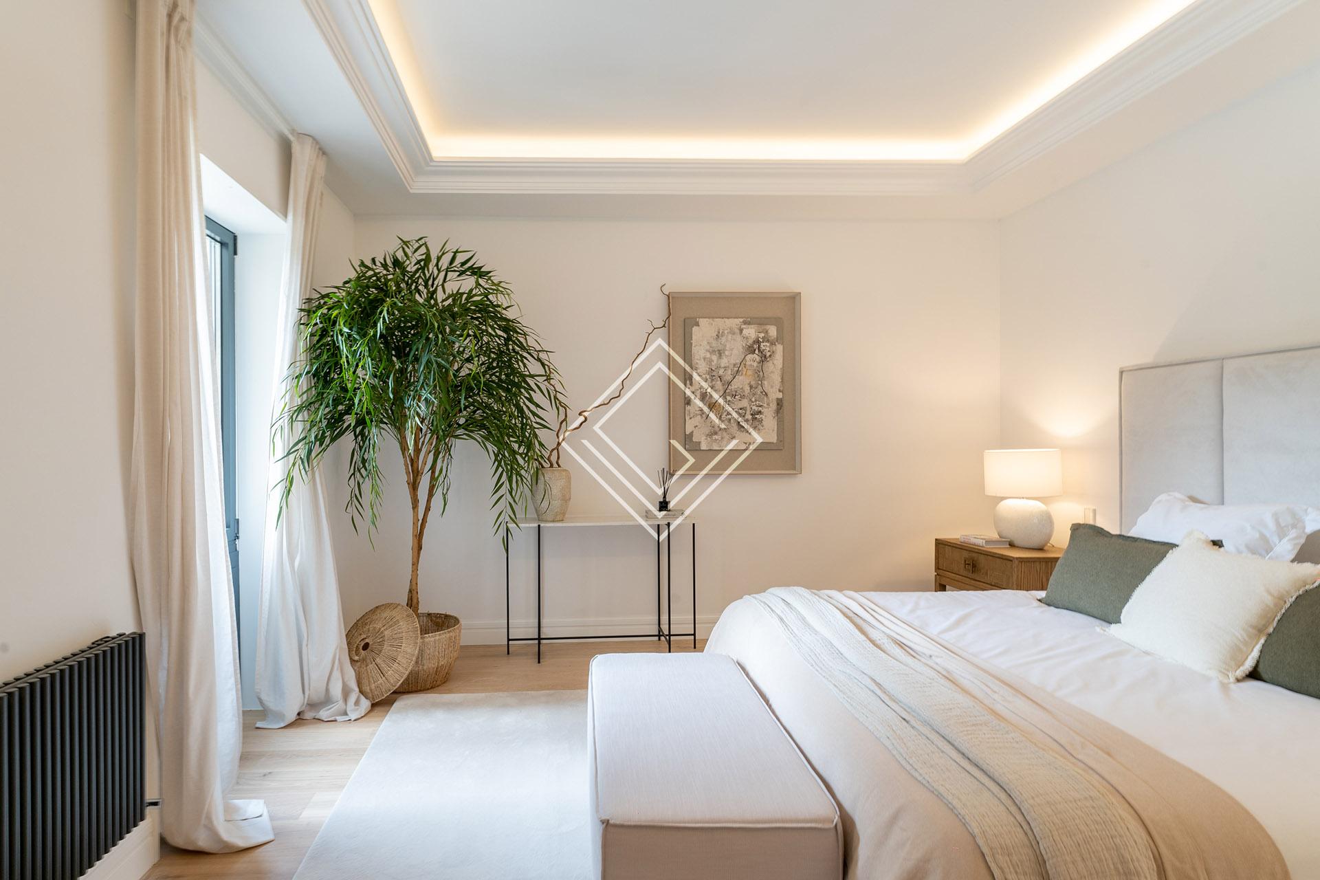 Imagen 41 de la propiedad