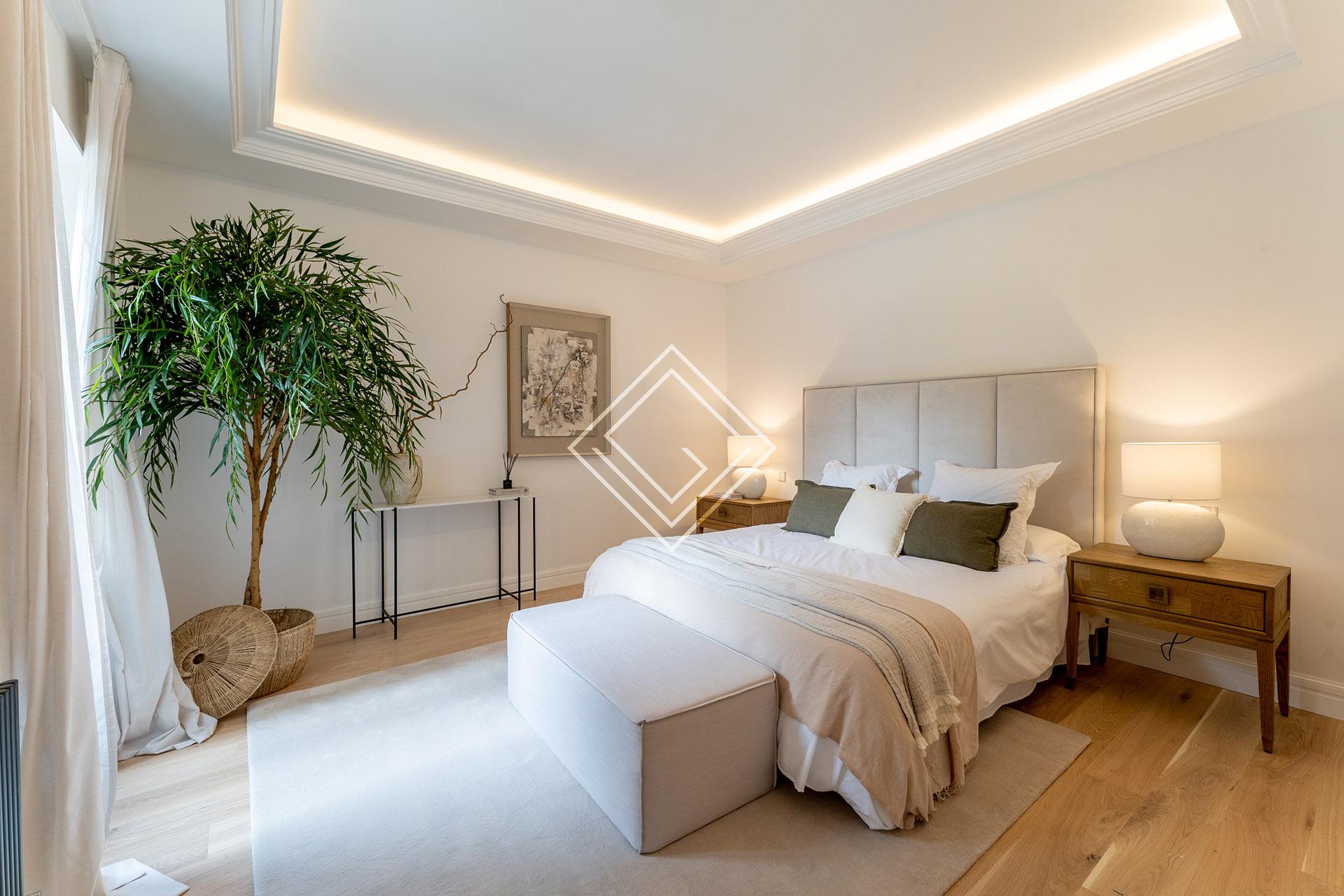 Imagen 40 de la propiedad