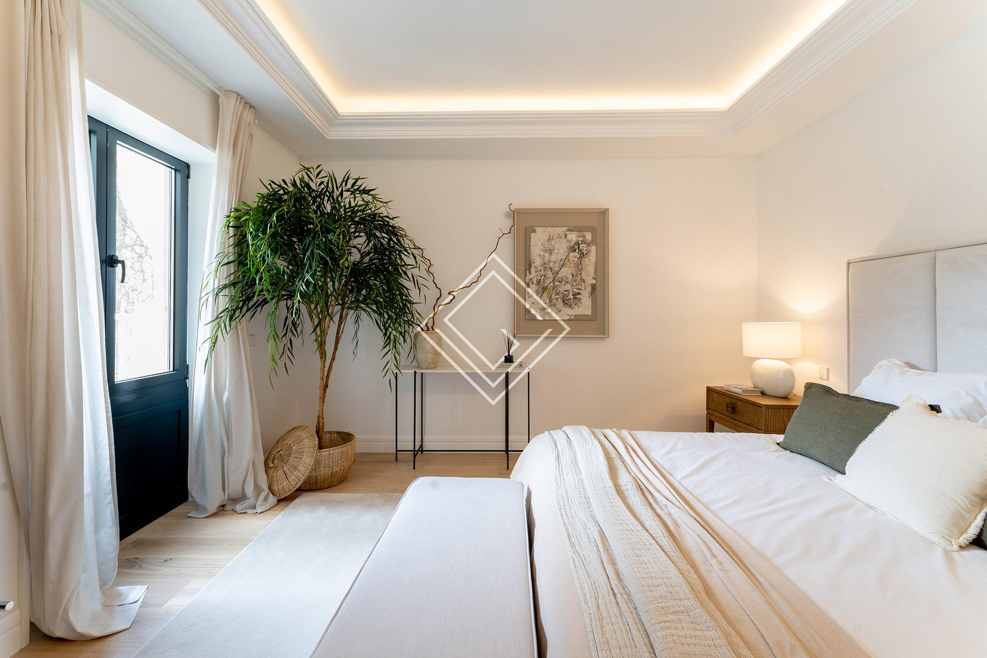 Imagen 42 de la propiedad