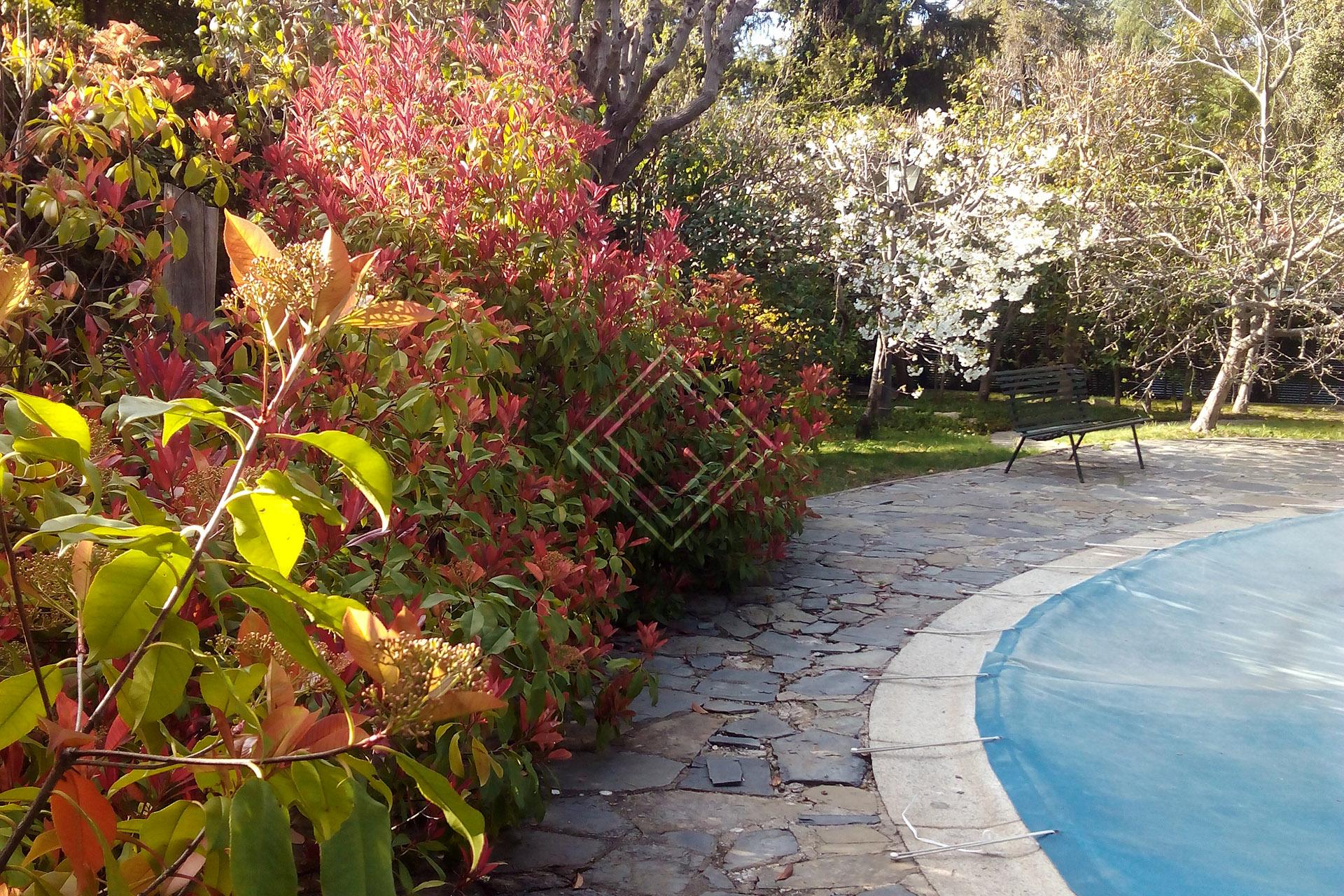 Imagen 19 de la propiedad