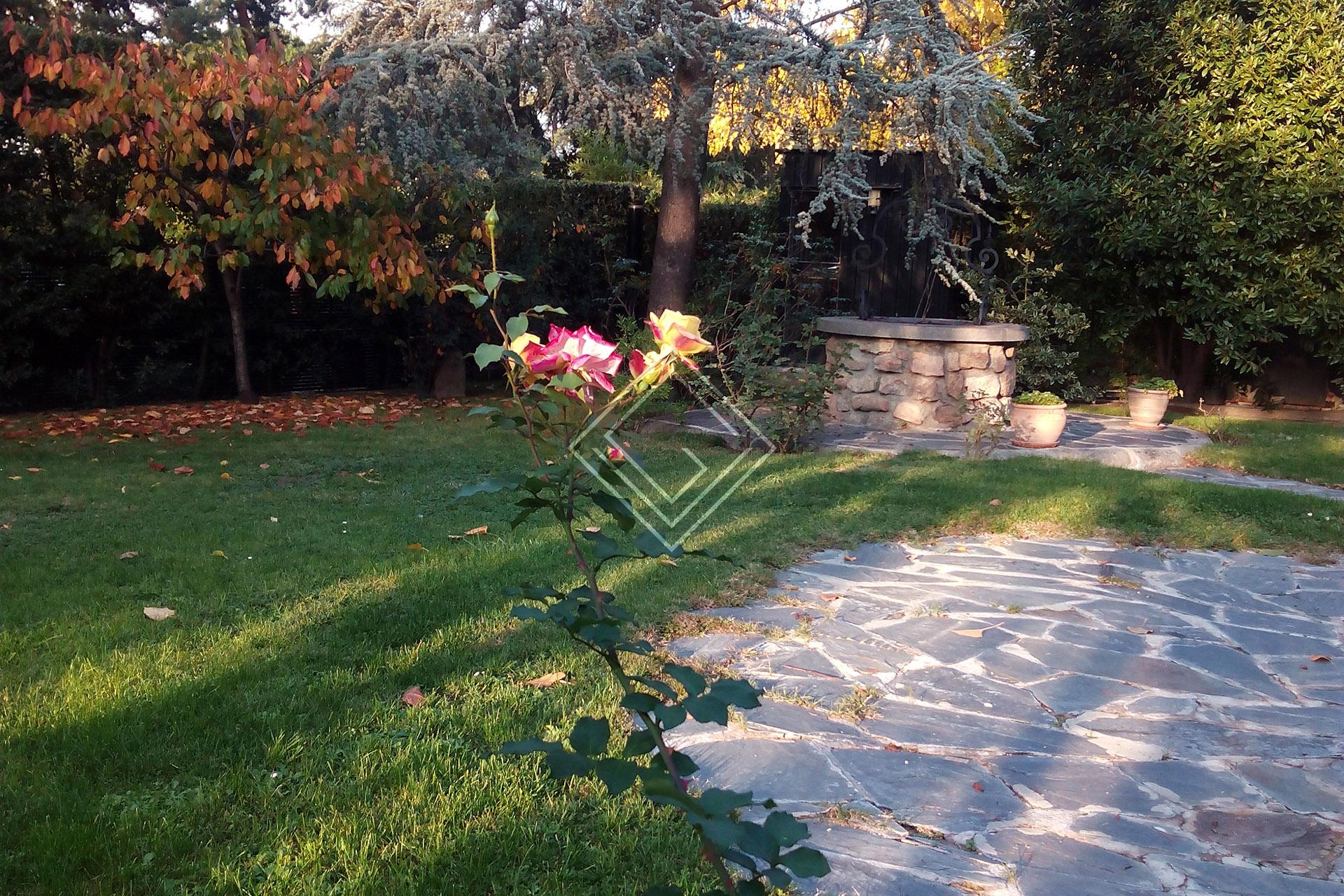 Imagen 18 de la propiedad