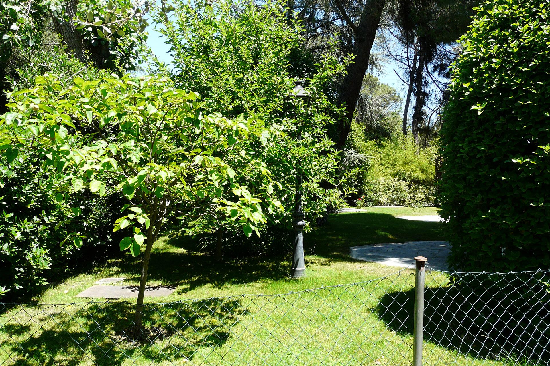 Imagen 24 de la propiedad