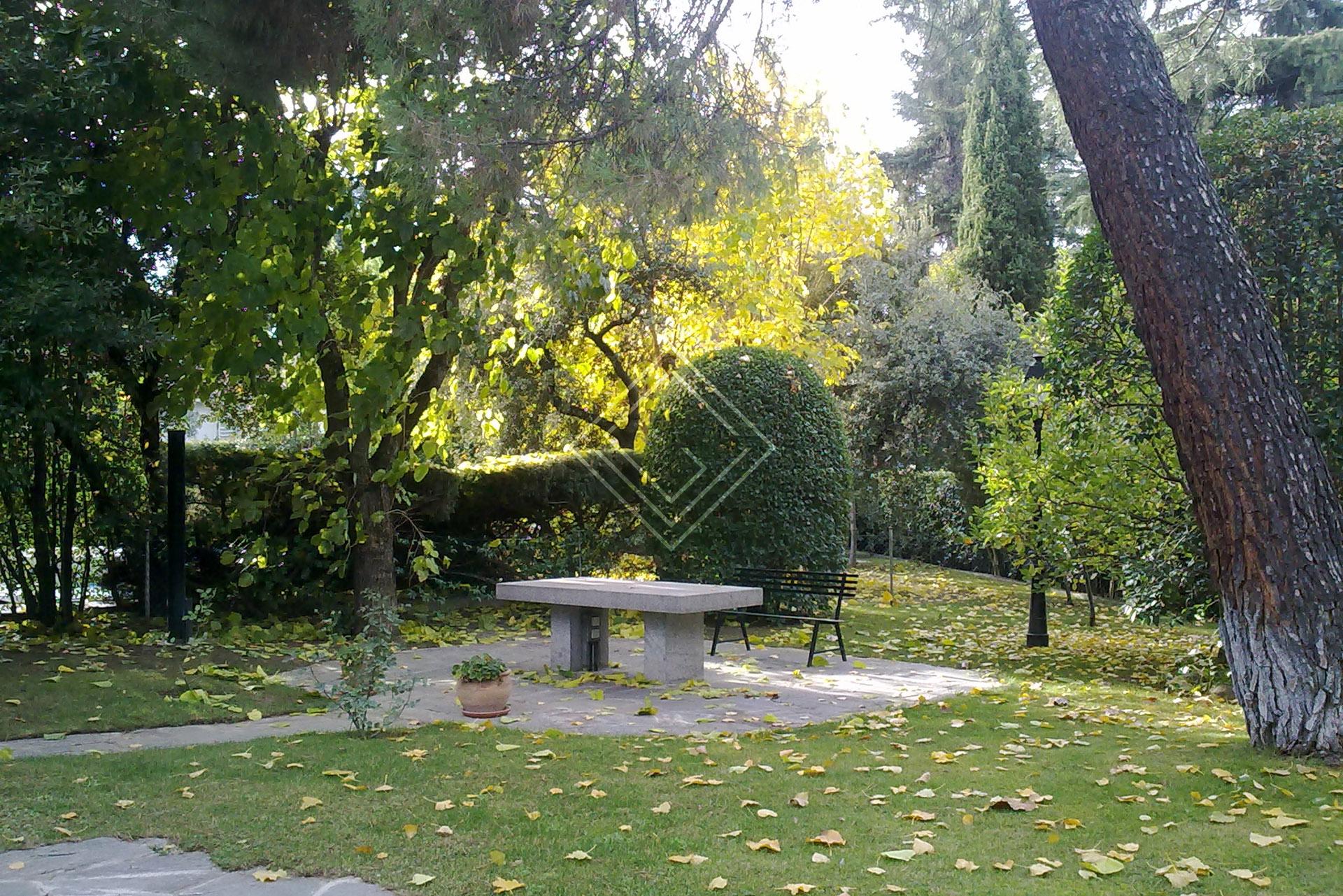 Imagen 15 de la propiedad