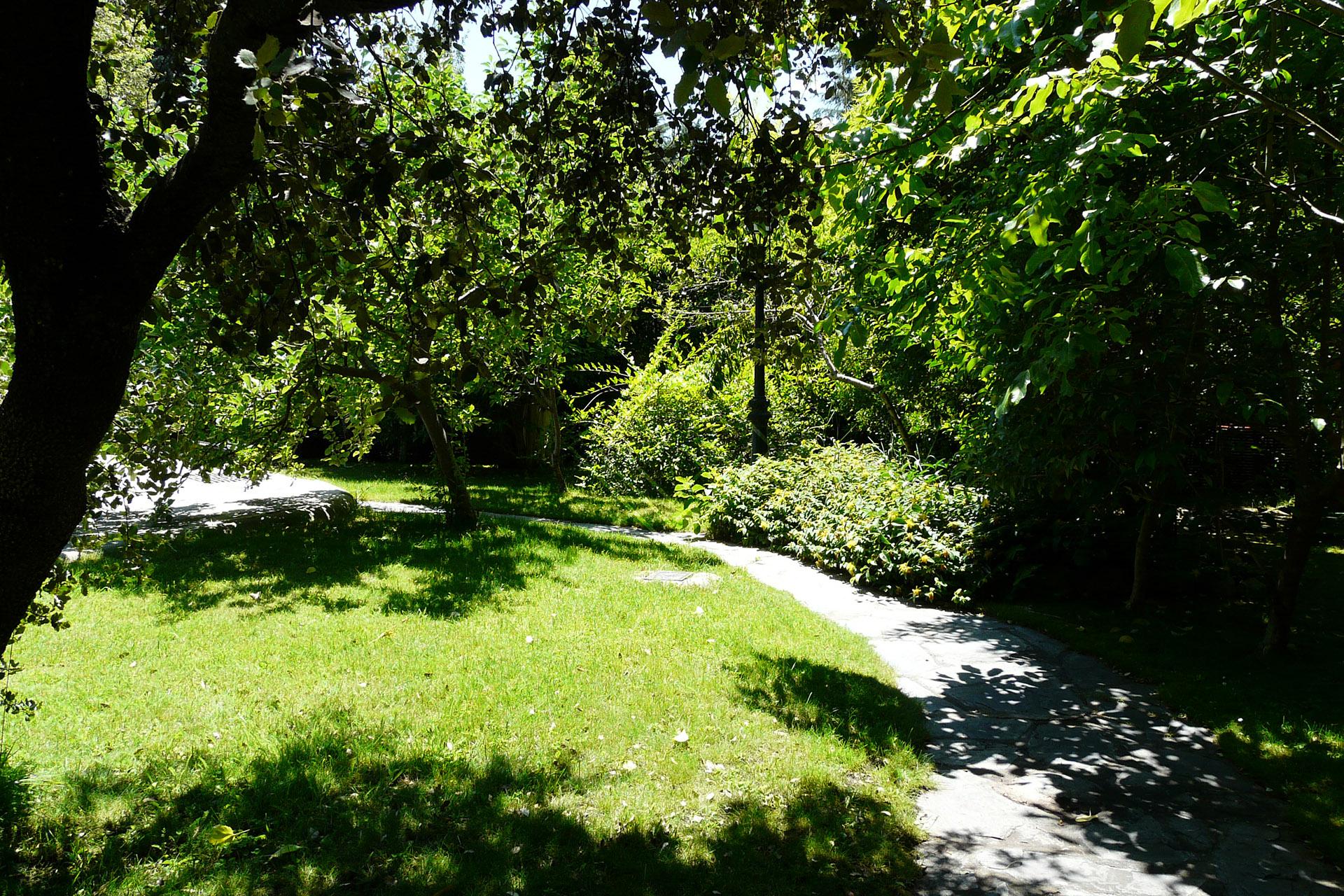 Imagen 23 de la propiedad