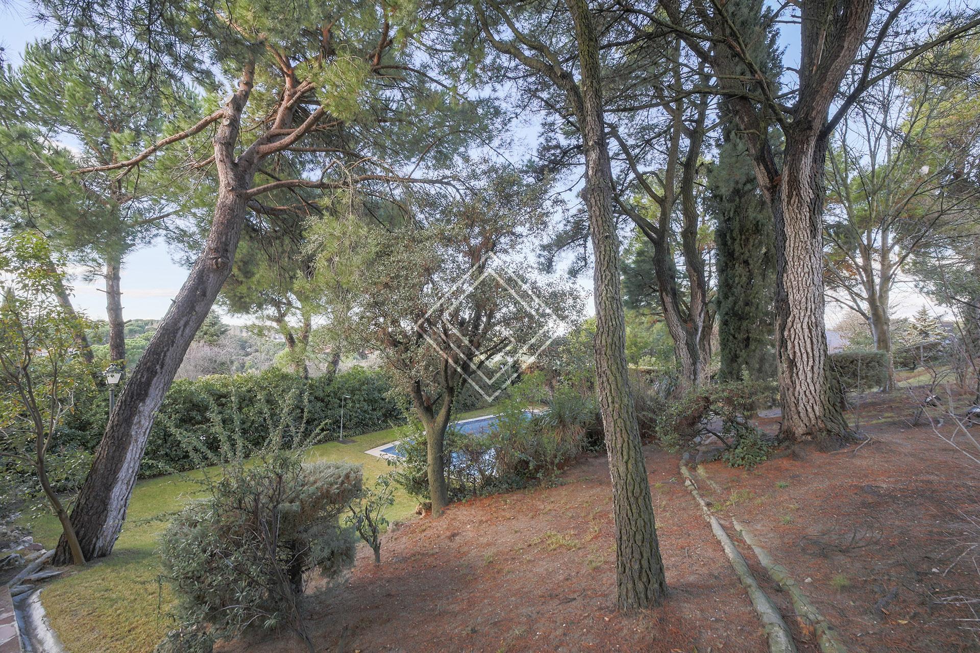 Imagen 13 de la propiedad