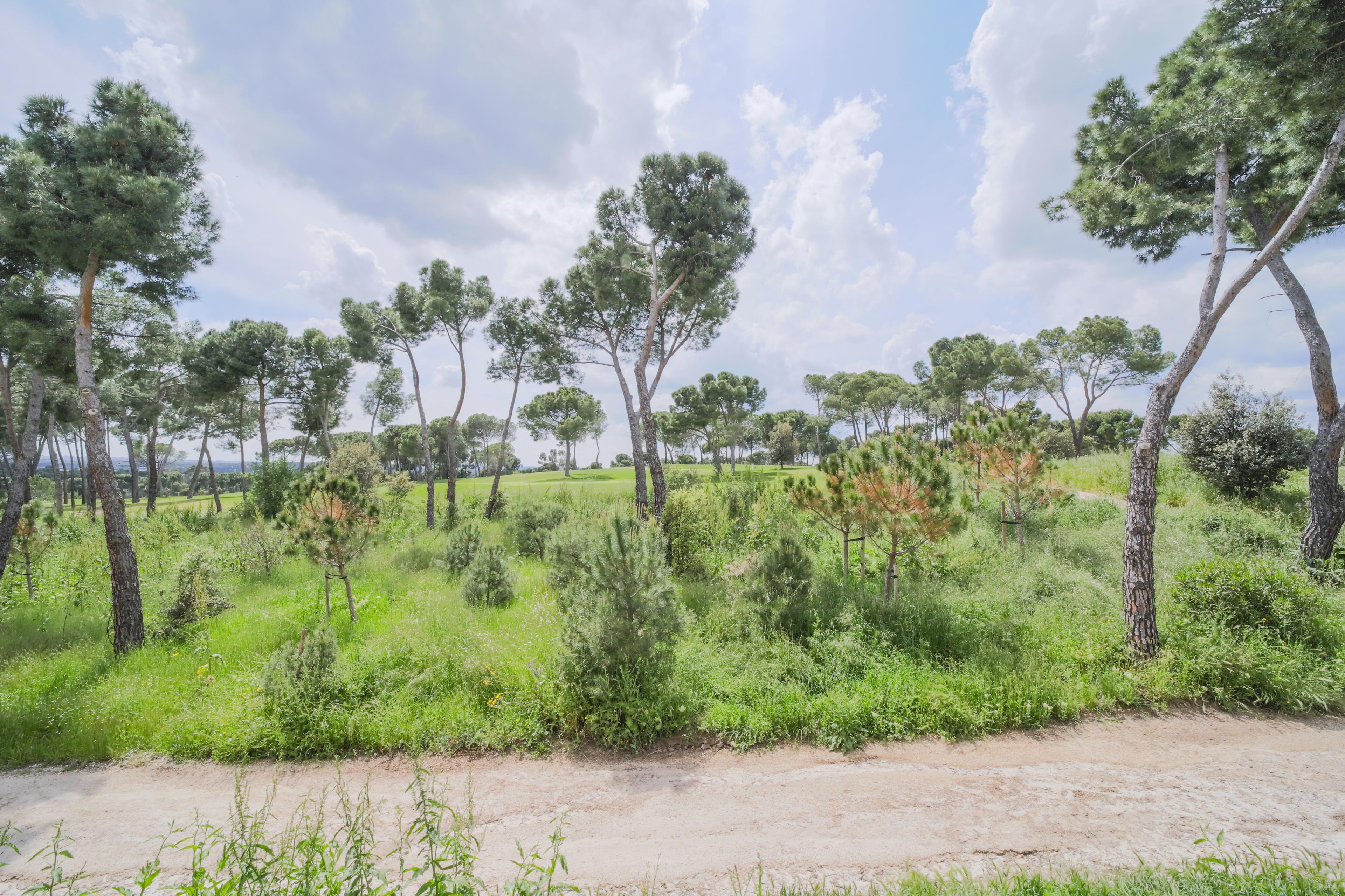 Imagen 25 de la propiedad