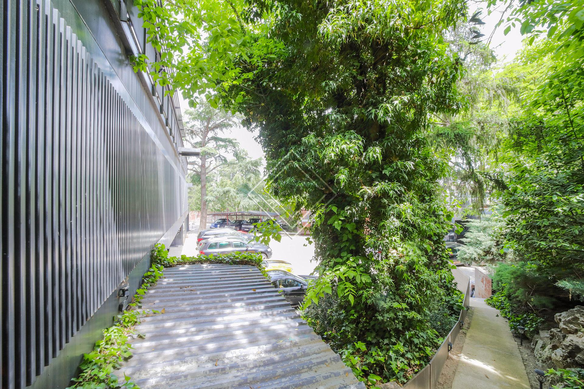 Imagen 5 de la propiedad