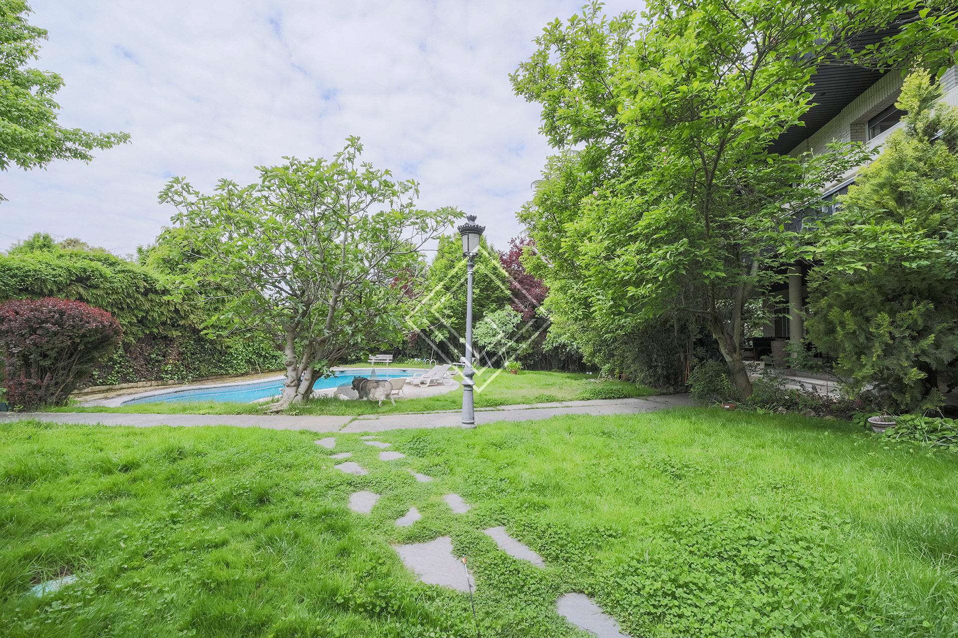 Imagen 6 de la propiedad