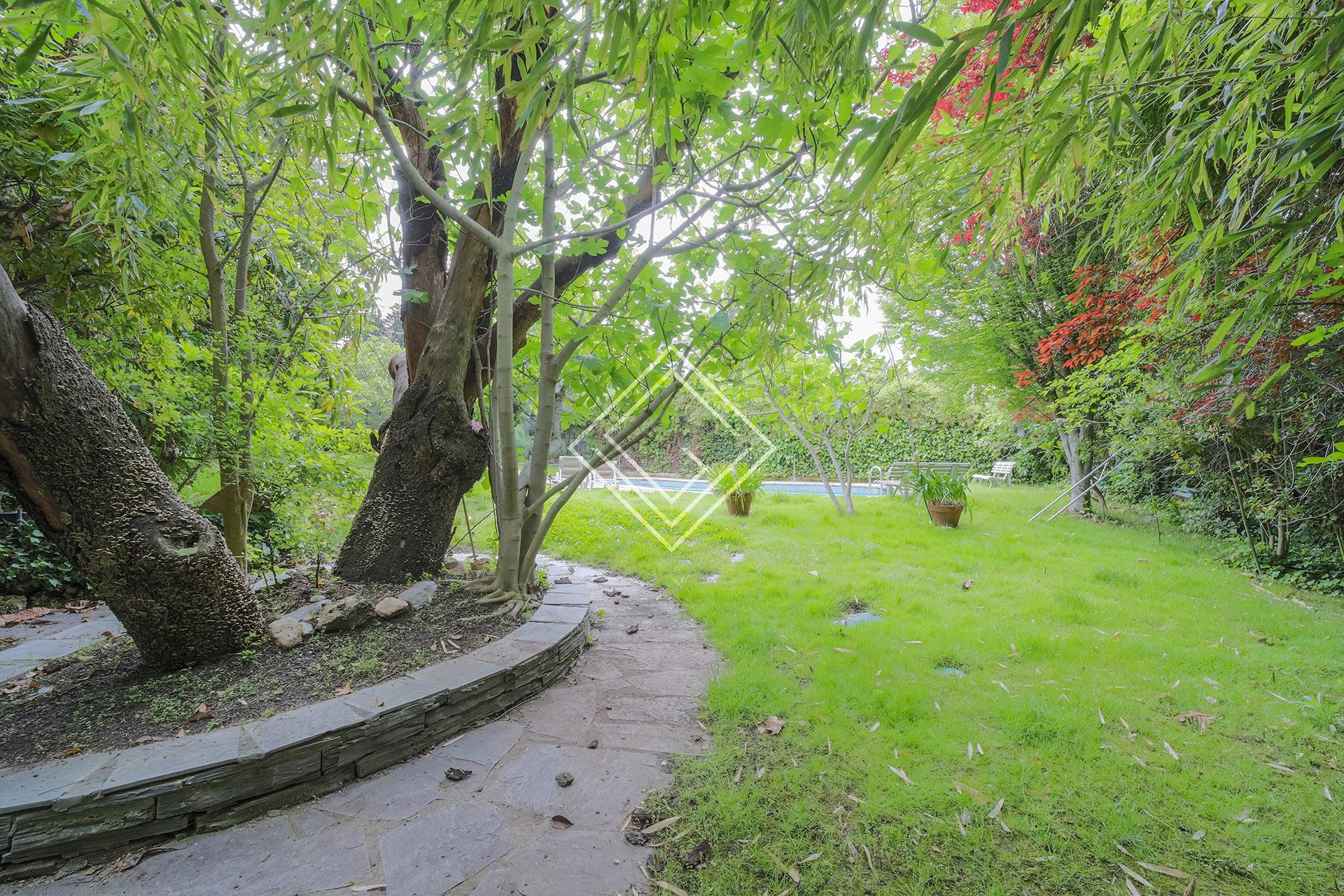 Imagen 19 de la propiedad