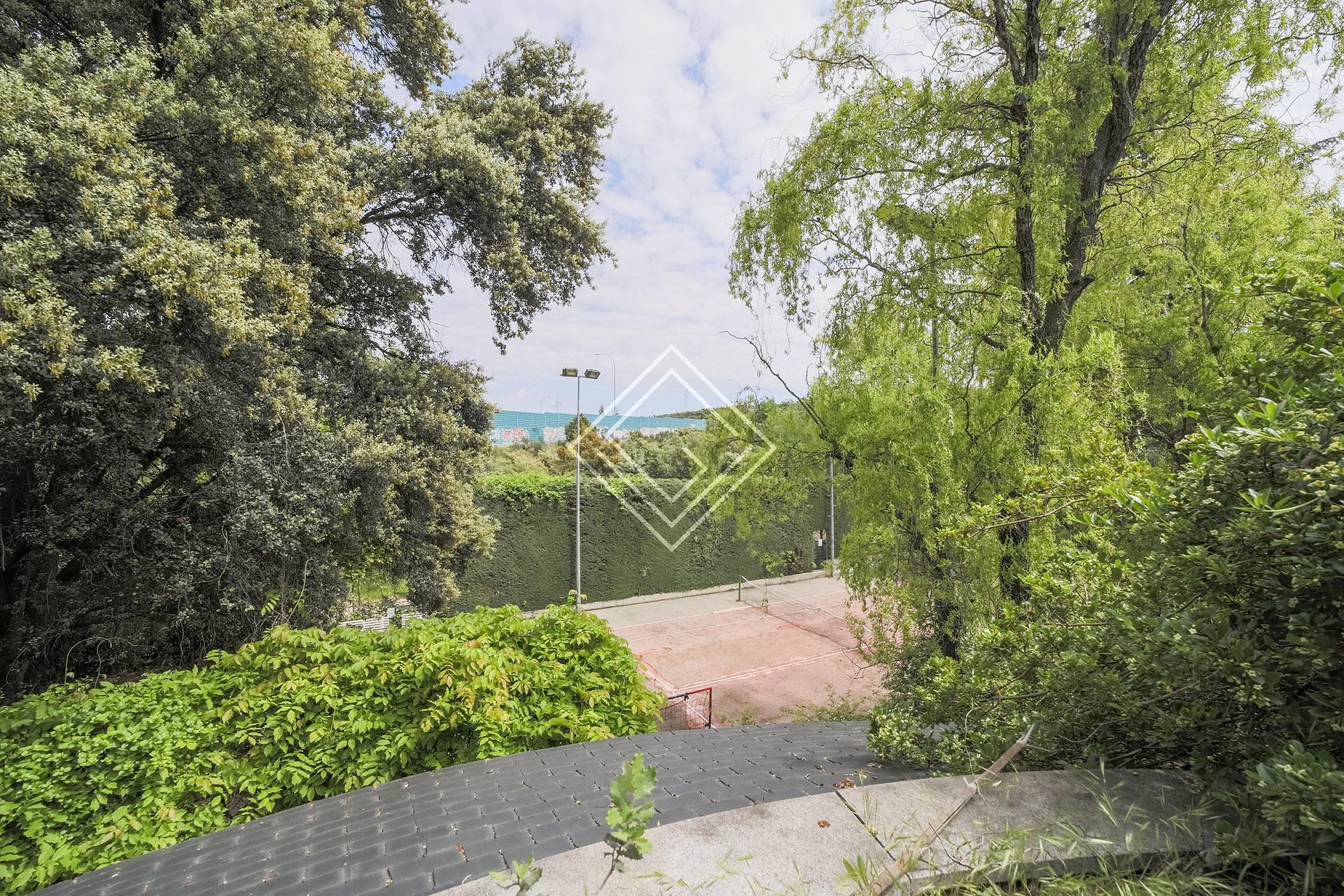 Imagen 50 de la propiedad