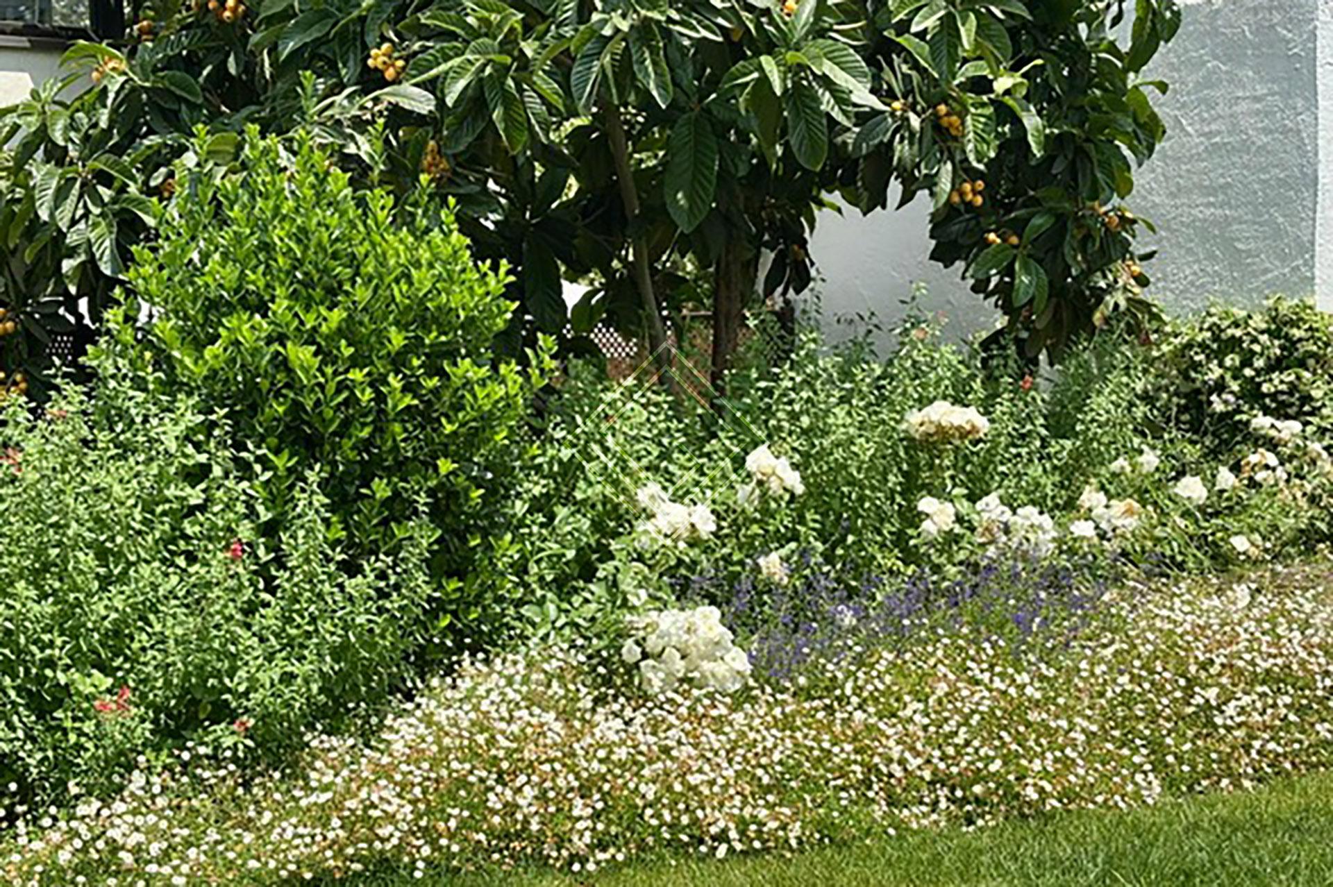 Imagen 15 de la propiedad