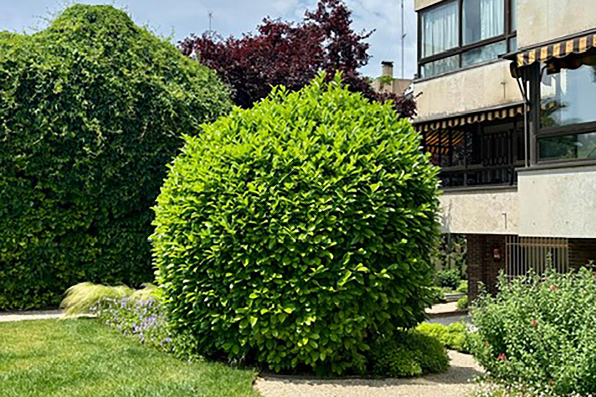 Imagen 7 de la propiedad