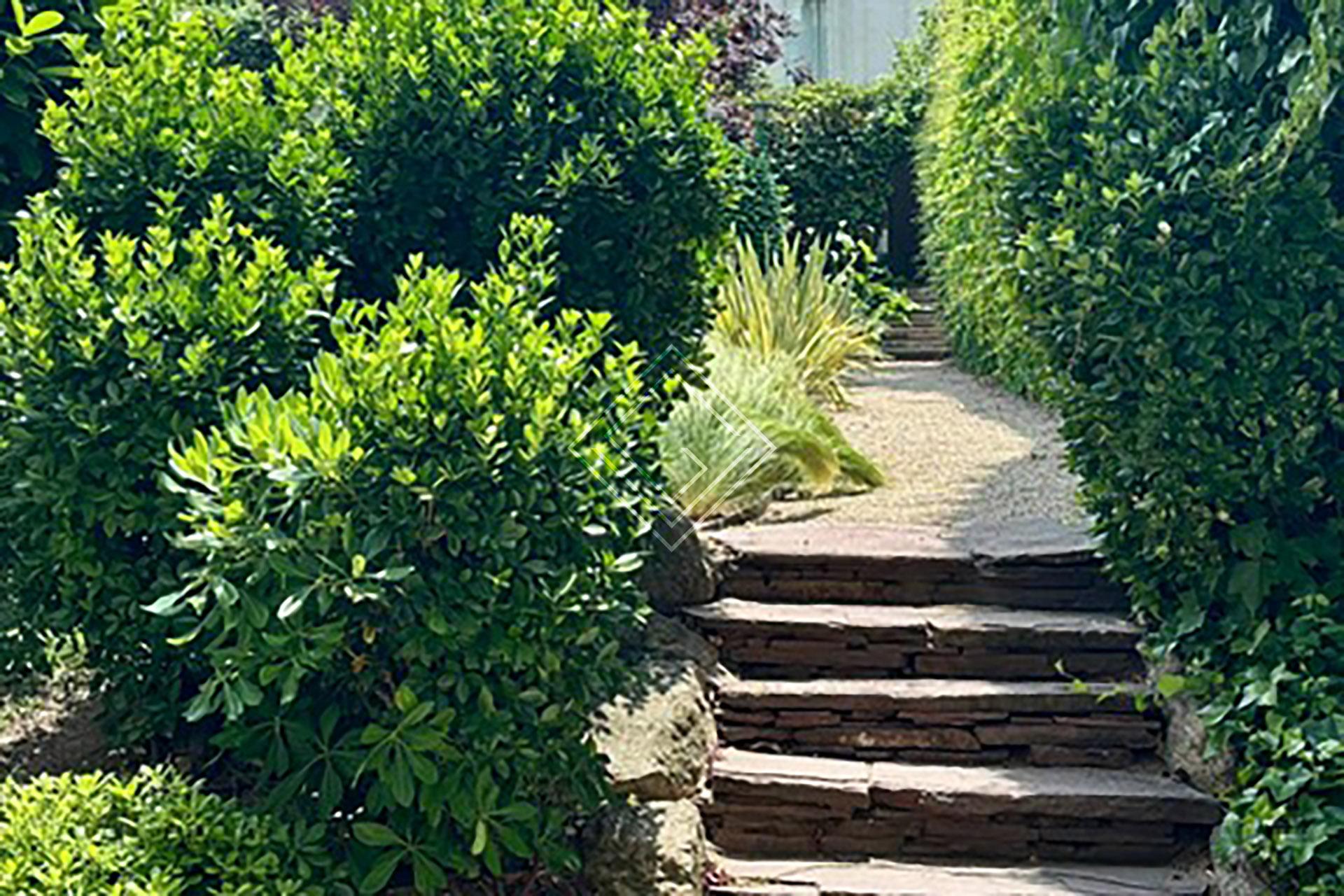 Imagen 9 de la propiedad