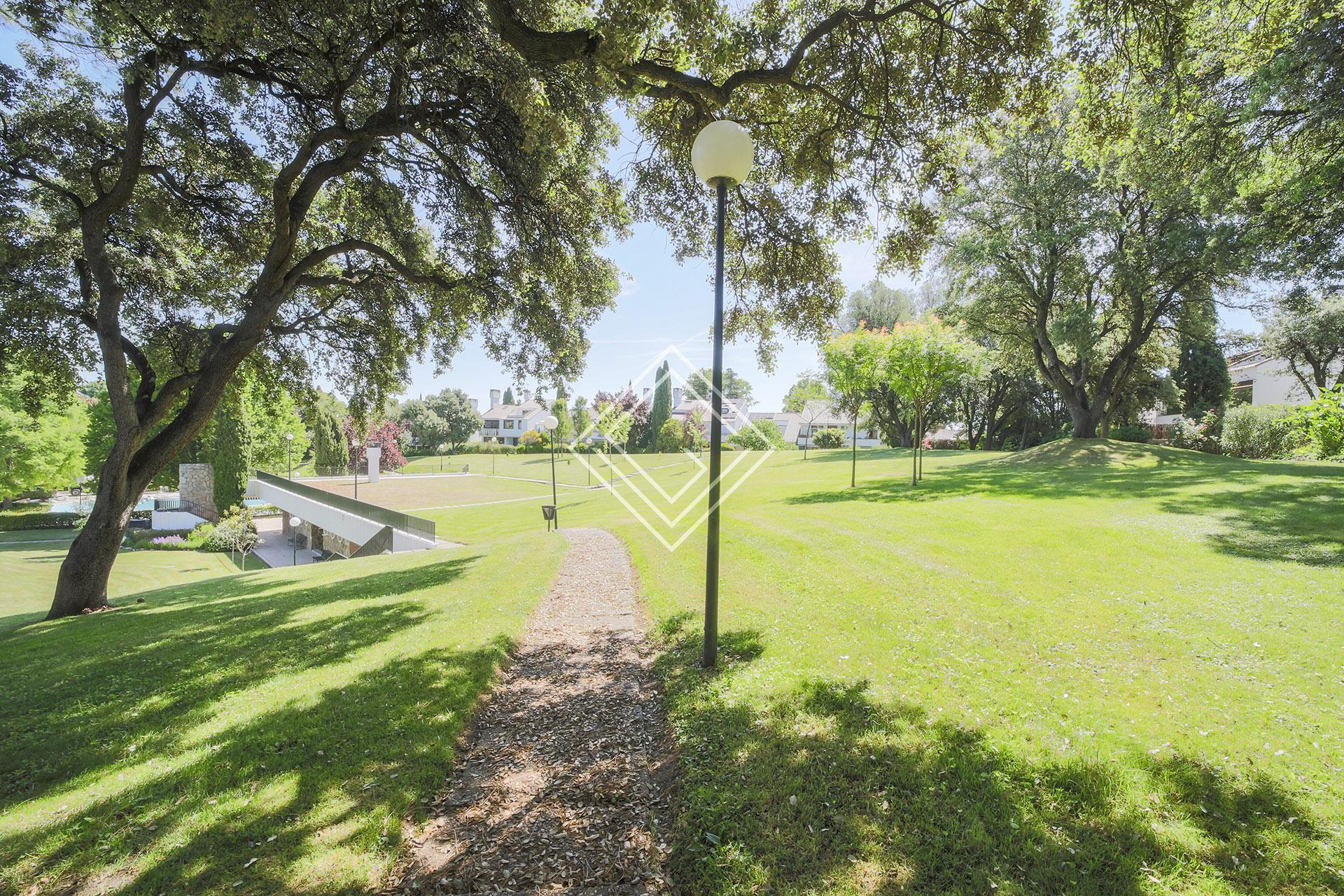 Imagen 41 de la propiedad