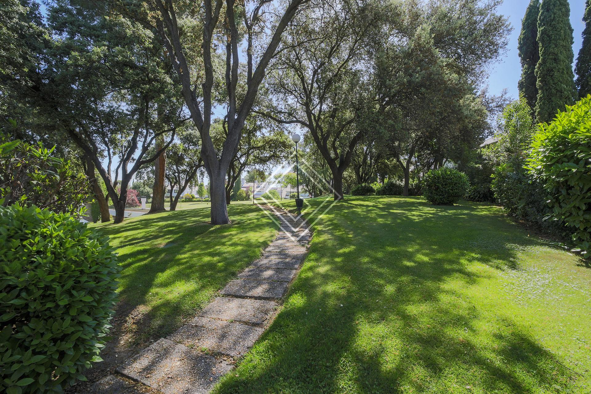 Imagen 40 de la propiedad