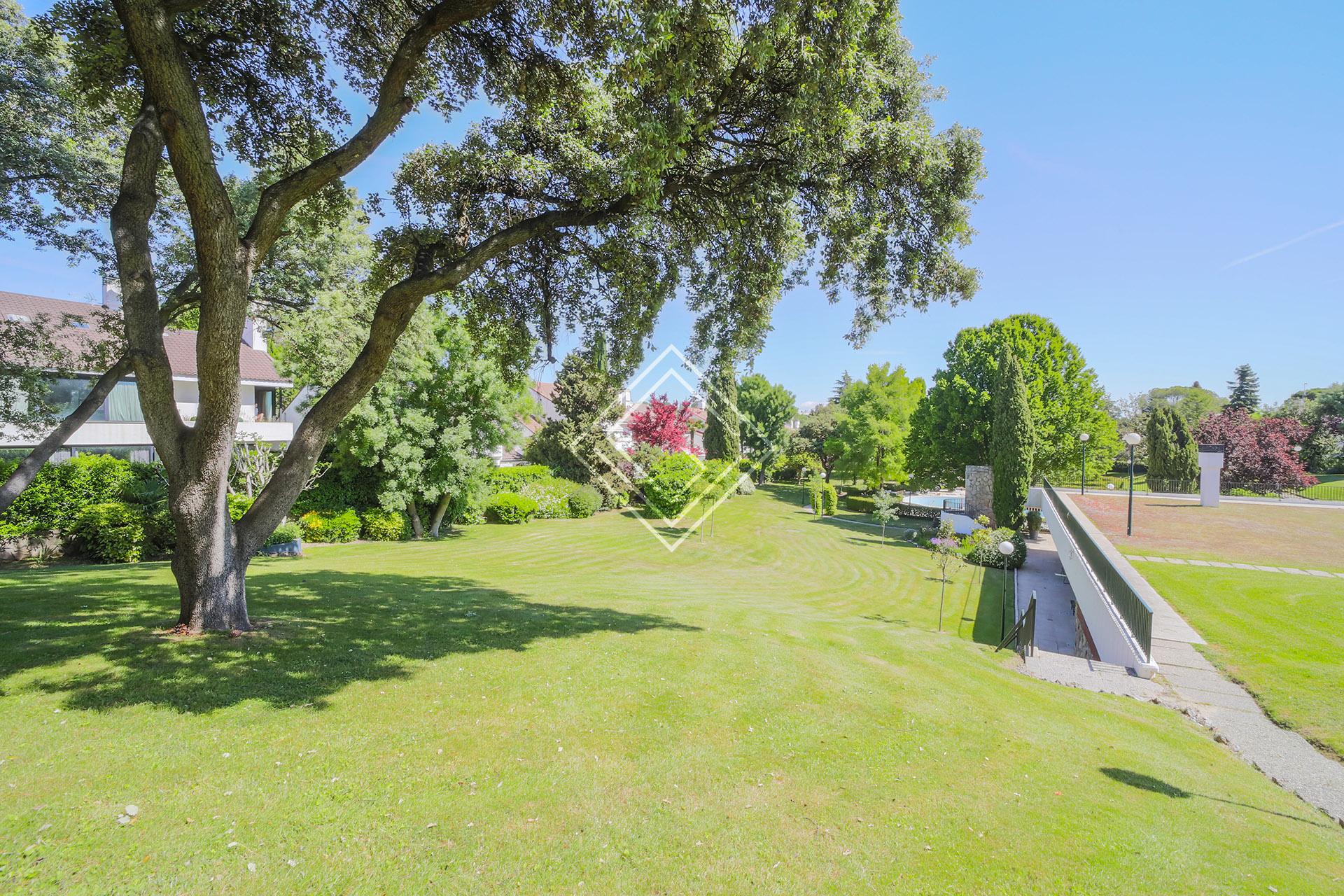 Imagen 46 de la propiedad