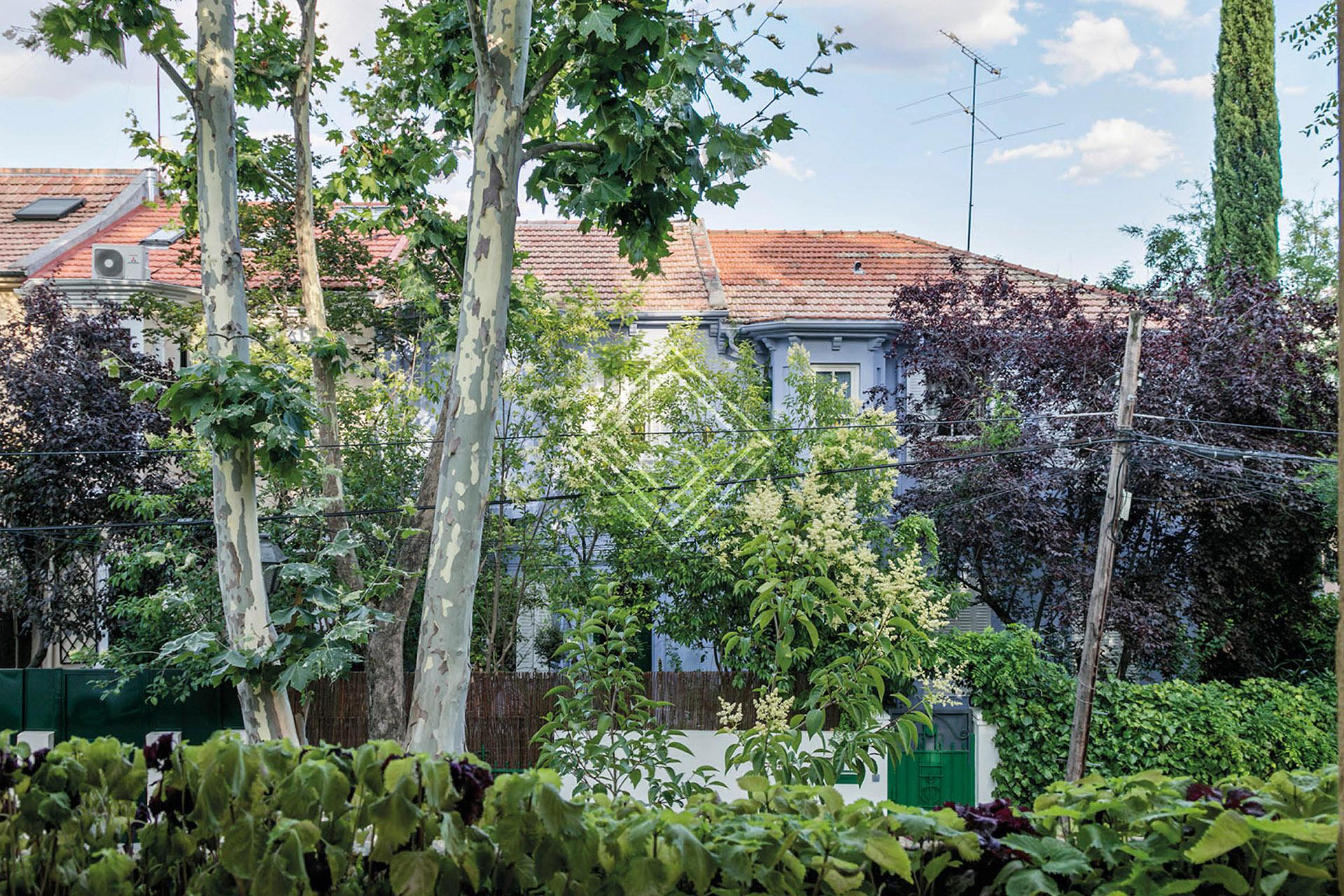 Fabuloso bajo con jardin y piscina privada en Cruz del Rayo - Imagen 2