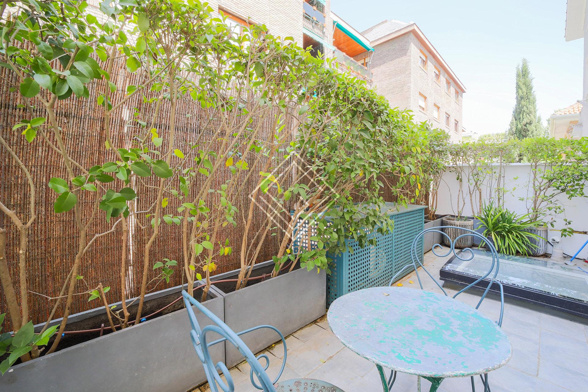 Imagen 9 de la propiedad