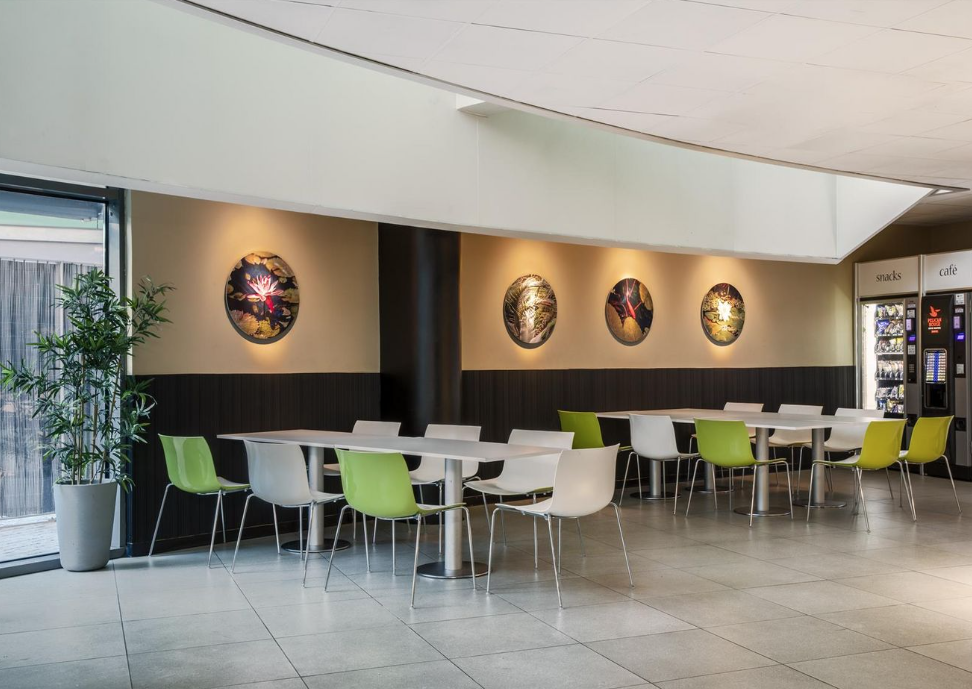 Imagen 9 de la propiedad