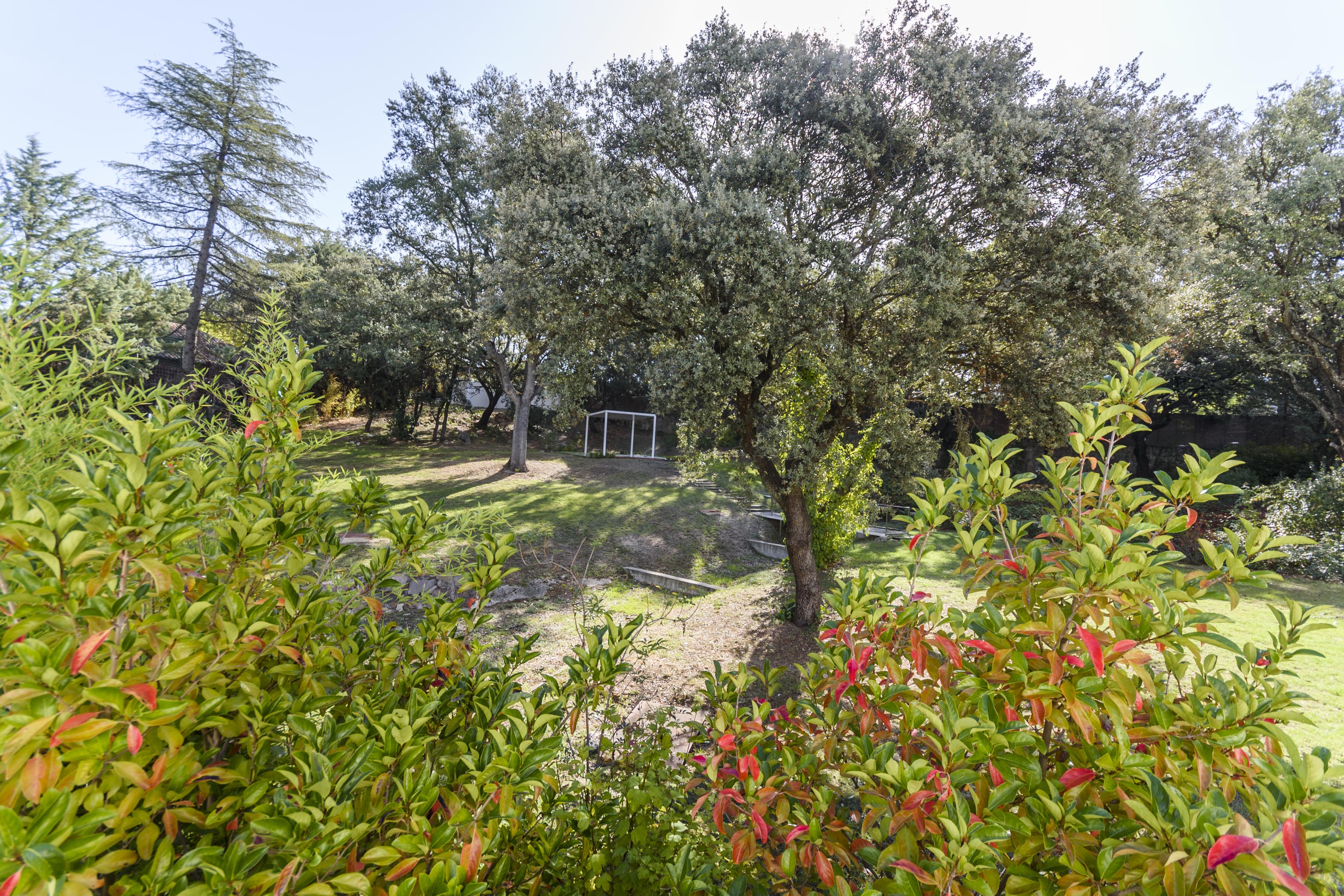 Imagen 1 de la propiedad